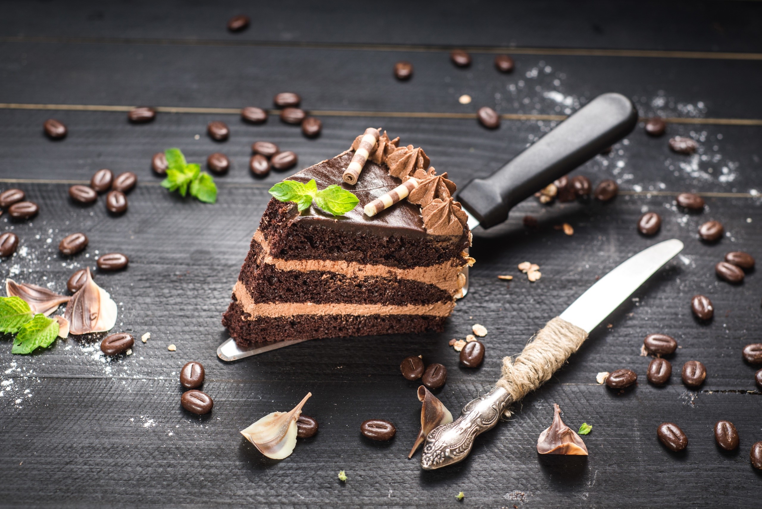 Slice of chocolate cake with coffee beans and mint leaves HD Wallpaper