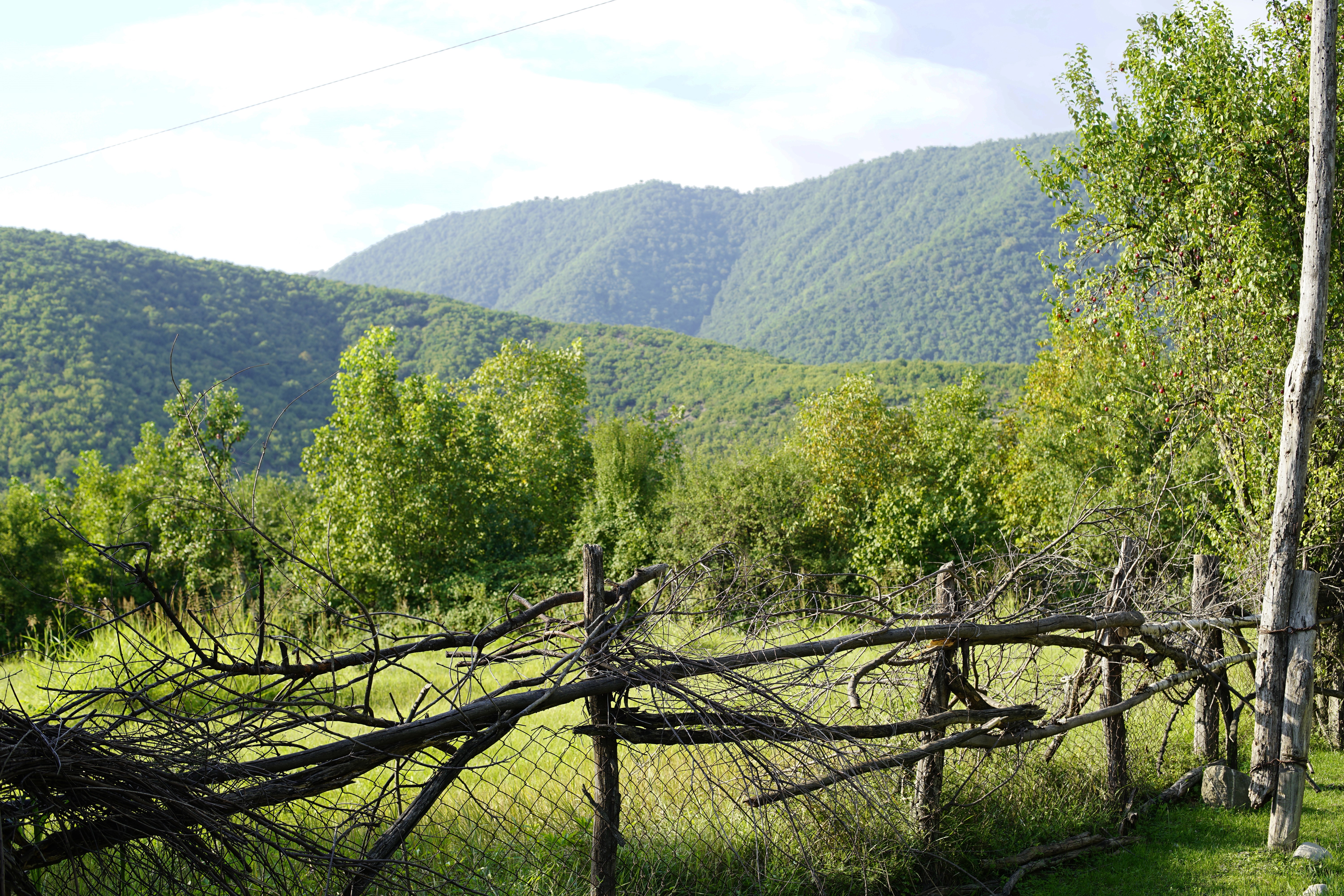 Nature landscape with green hills and a wooden fence HD Wallpaper
