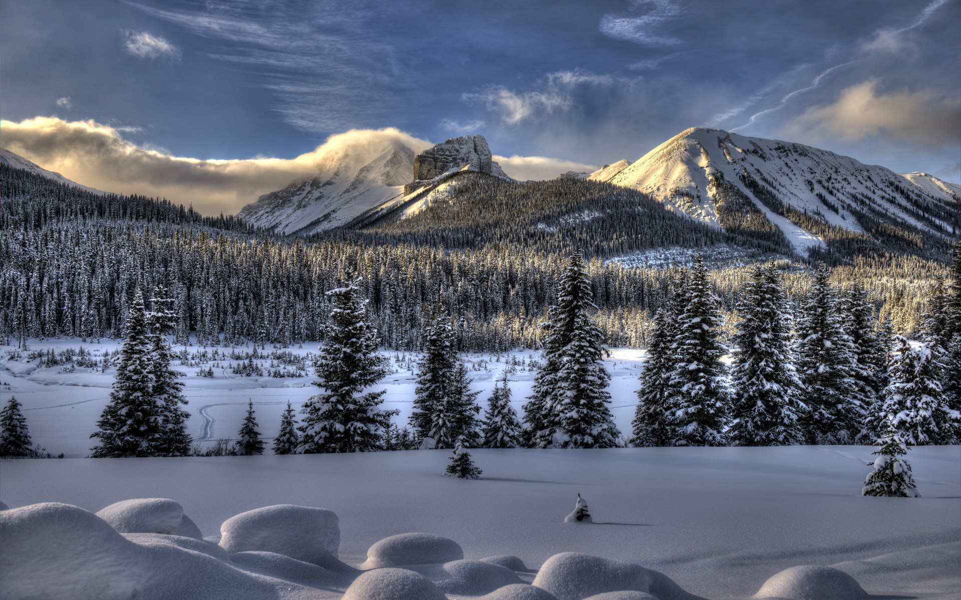 Snowy Mountains and Forest Landscape HD Wallpaper