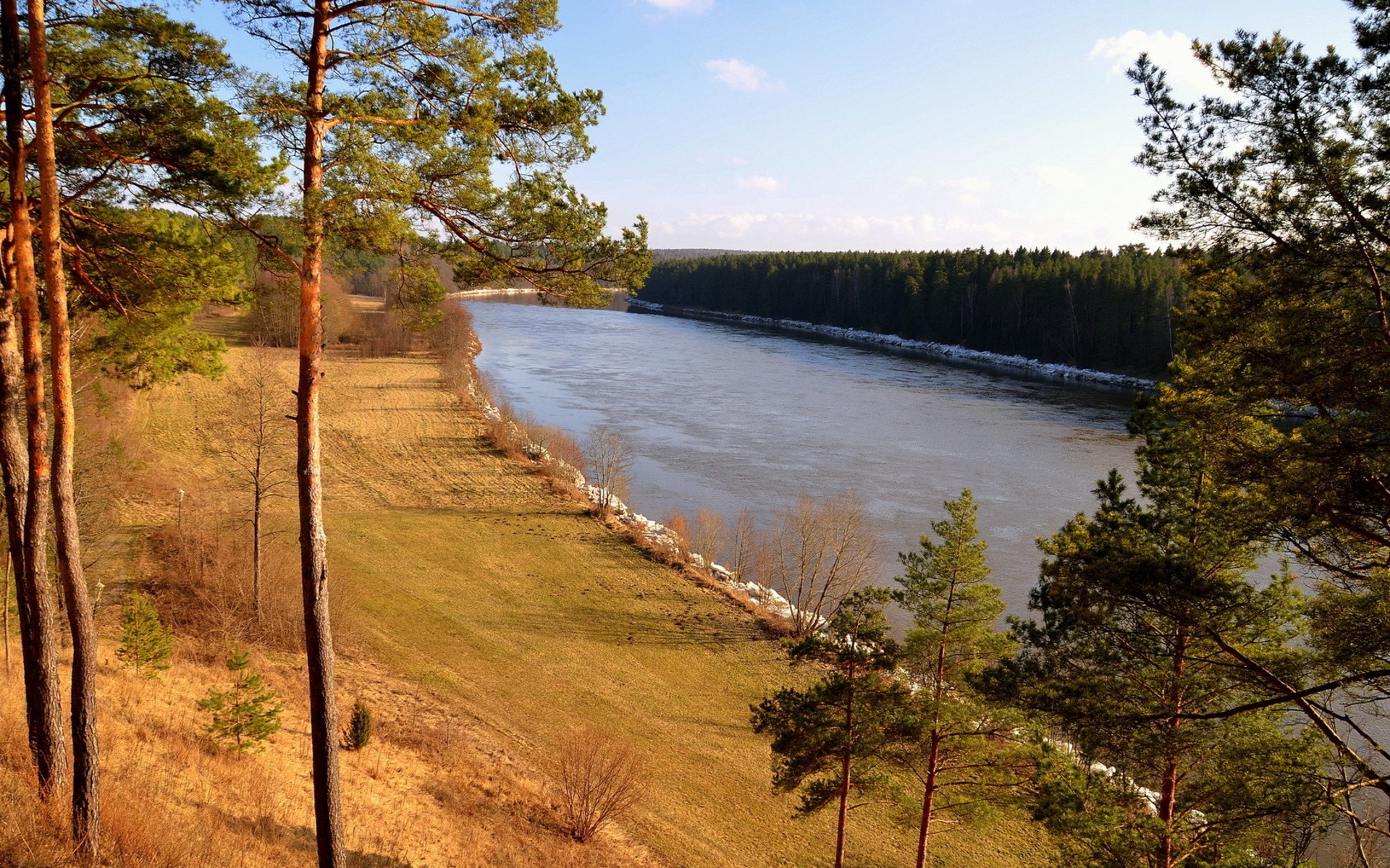 River flowing through a forest landscape HD Wallpaper