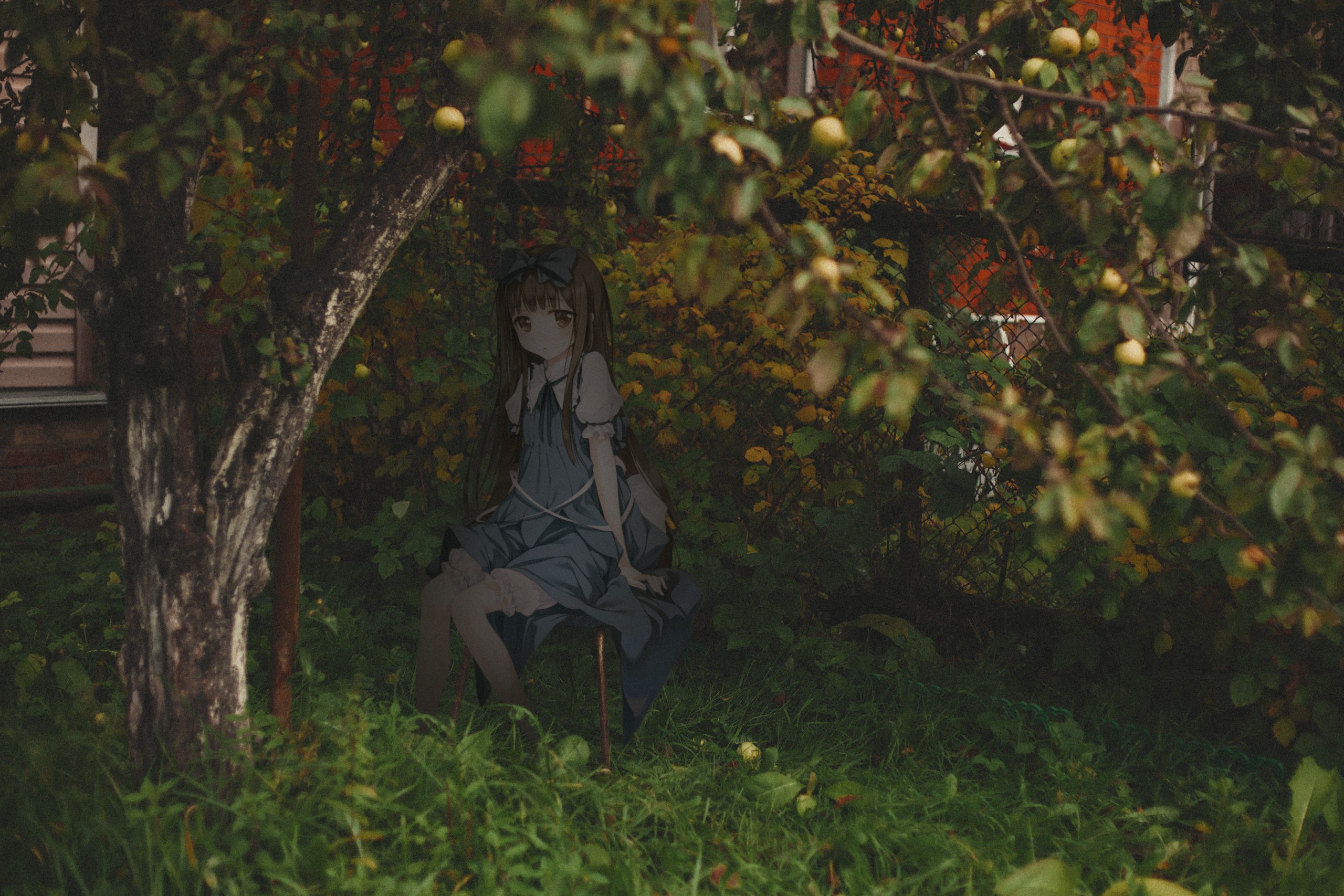 Anime girl sitting in a garden HD Wallpaper
