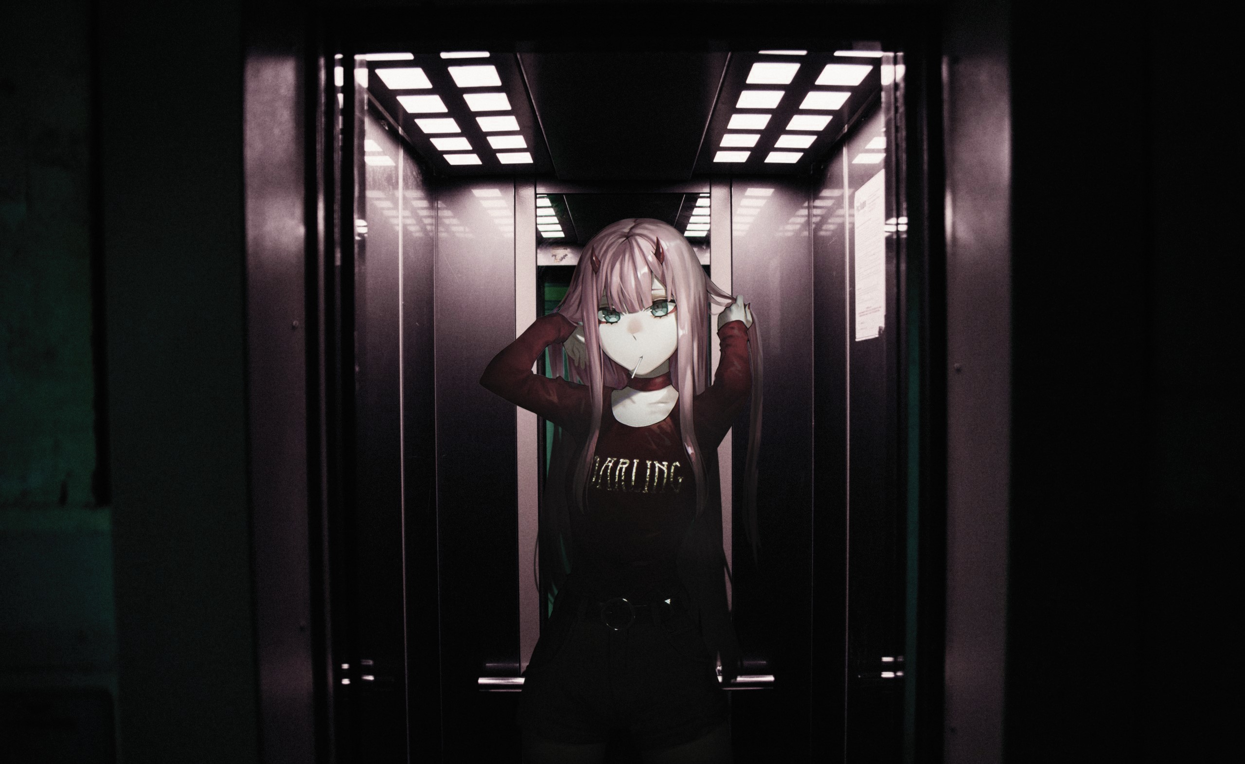 Zero Two from Darling in the FranXX in an elevator HD Wallpaper