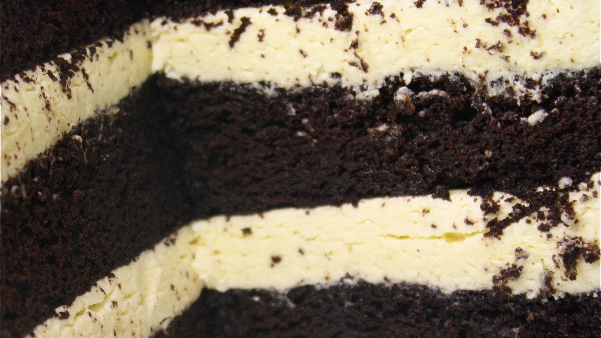 Close-up of chocolate cake with cream filling HD Wallpaper