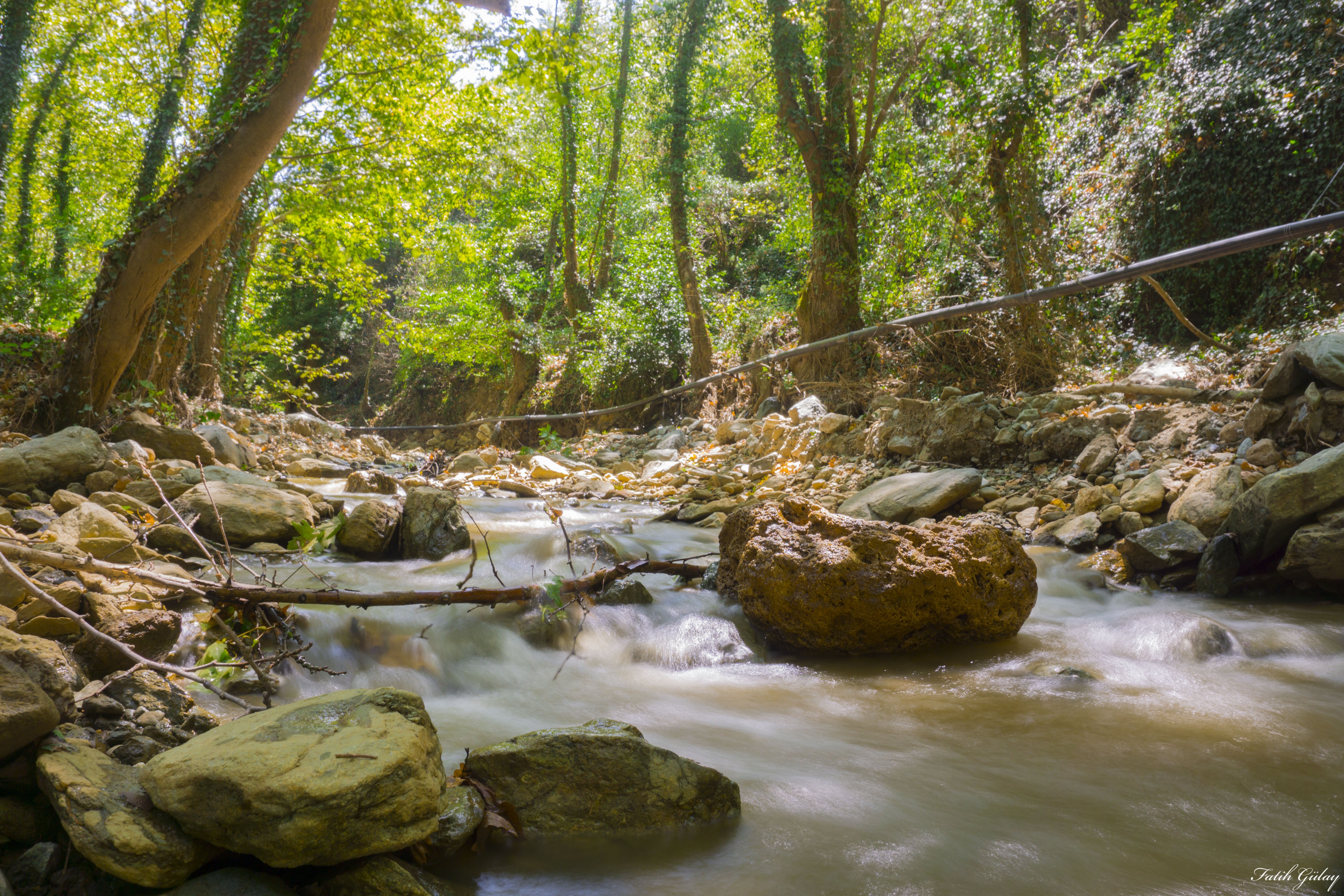 4K Long Exposure of a Forest Stream HD Wallpaper
