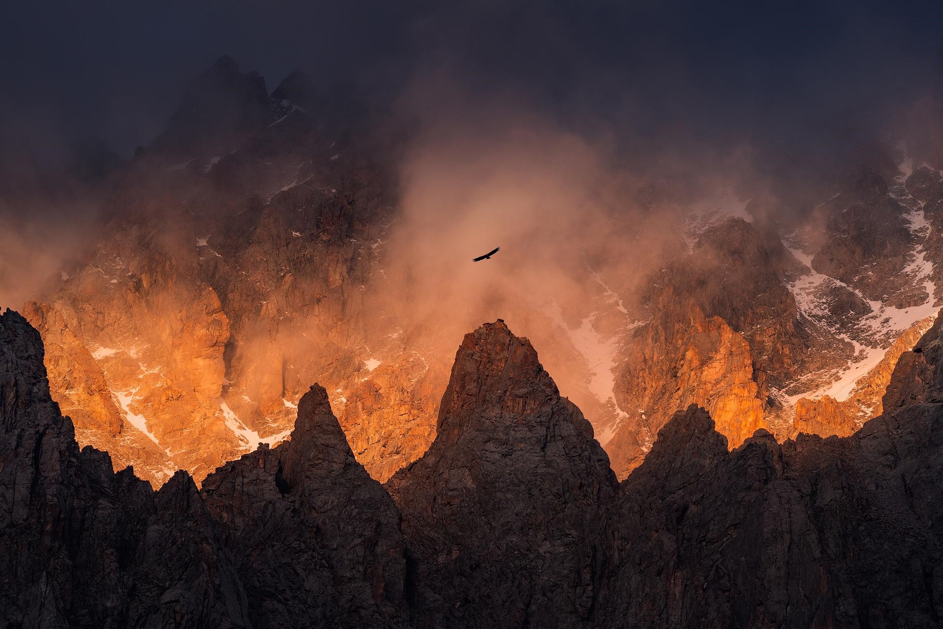 Eagle flying over sunlit mountains in Kyrgyzstan HD Wallpaper