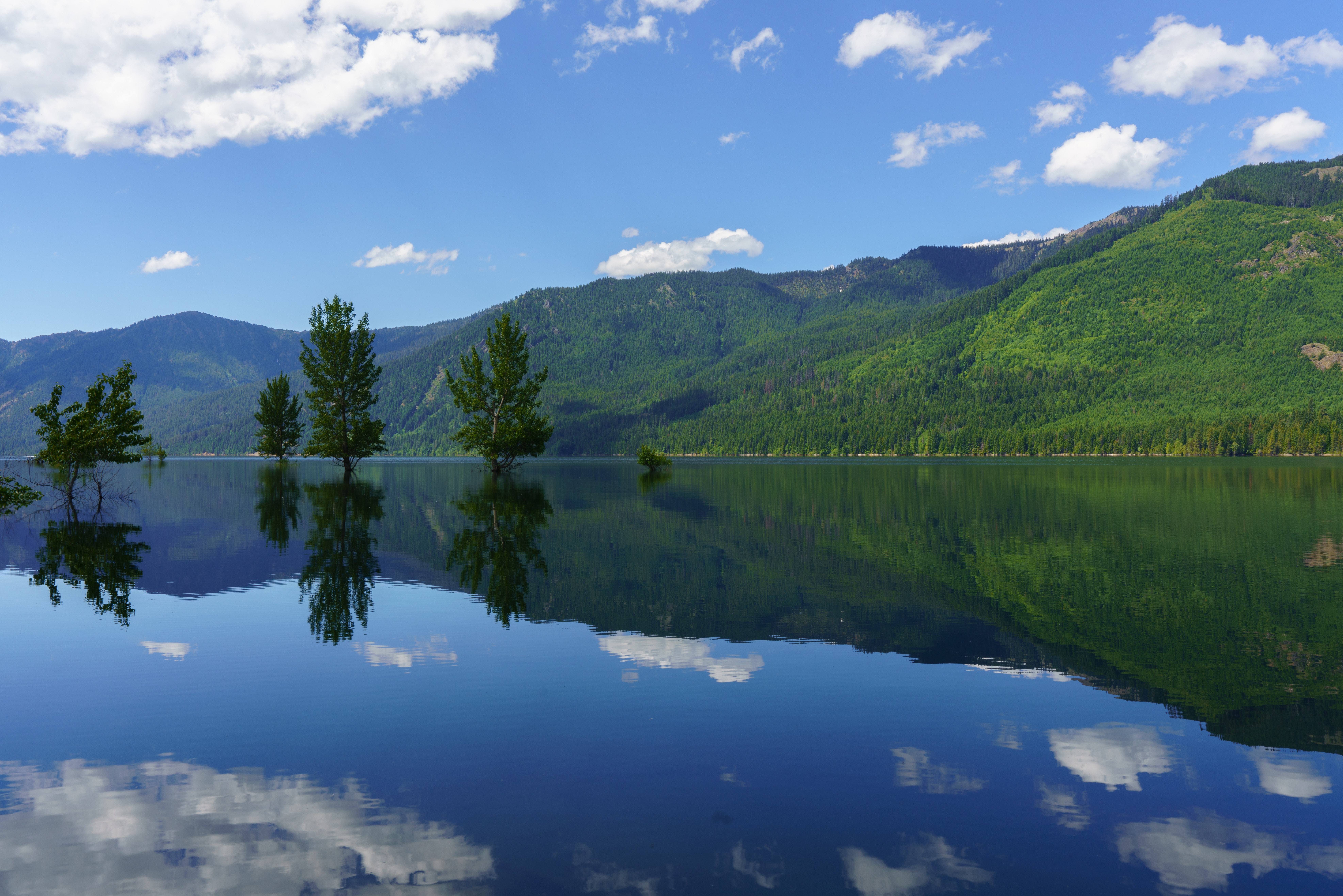 Trees reflected in a lake with mountains and clouds HD Wallpaper