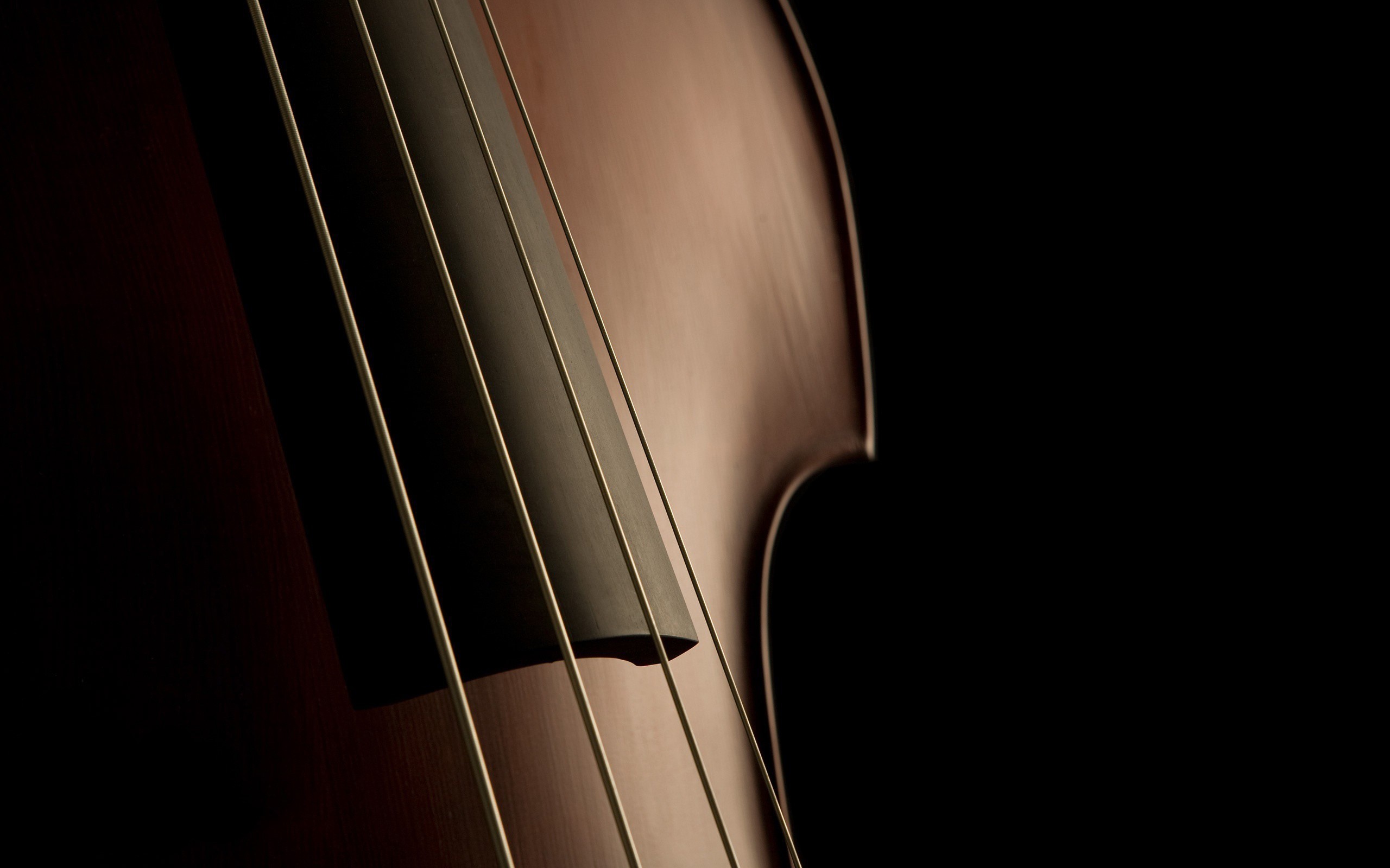 Close-up of a Double Bass instrument HD Wallpaper