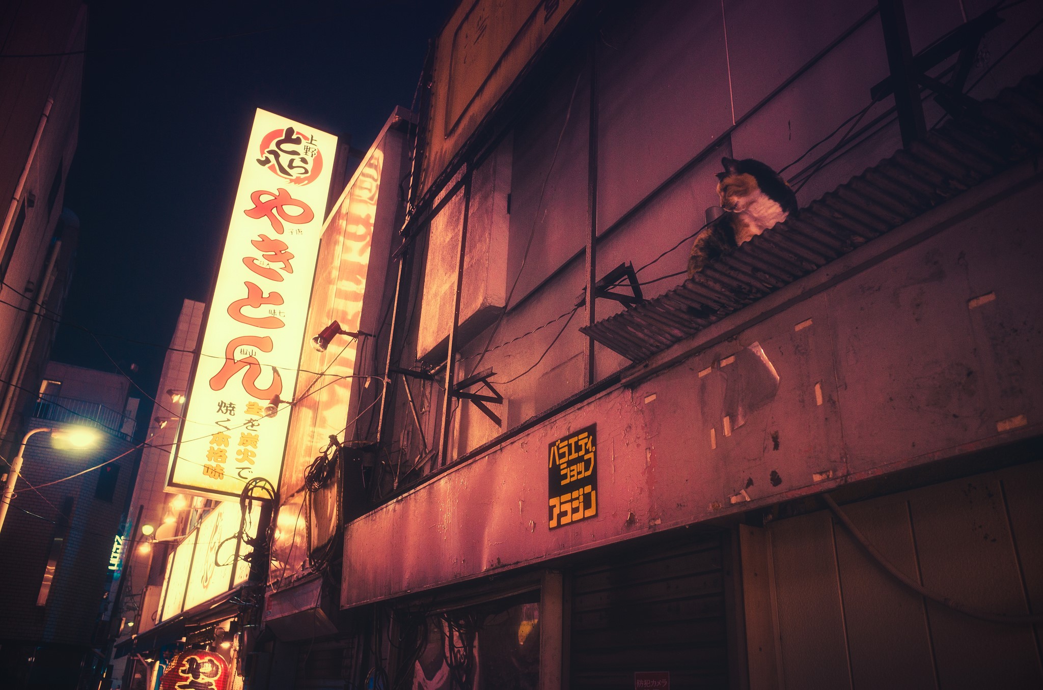 Japanese street at night with neon signs HD Wallpaper