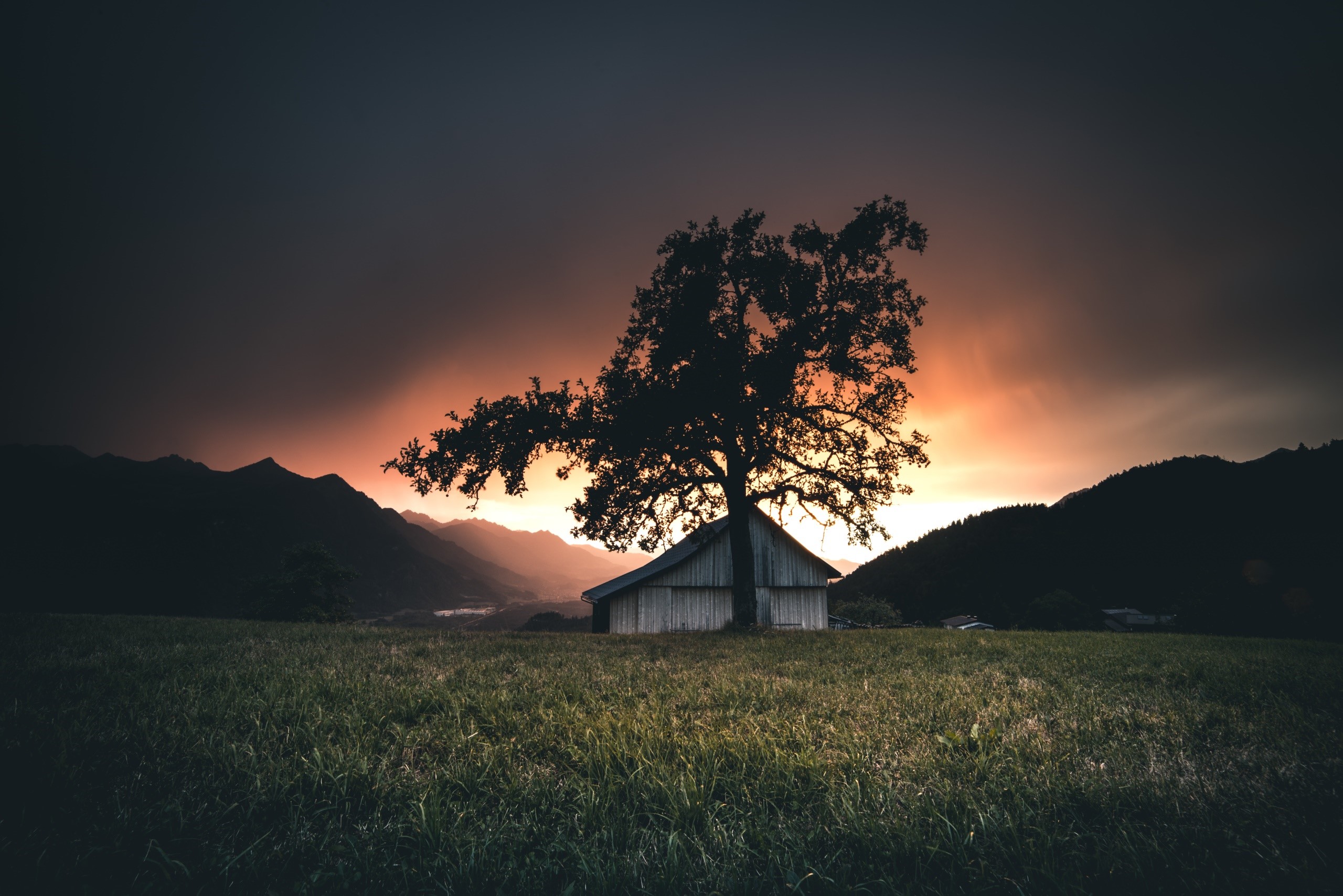 Tree and barn in a field at sunset HD Wallpaper