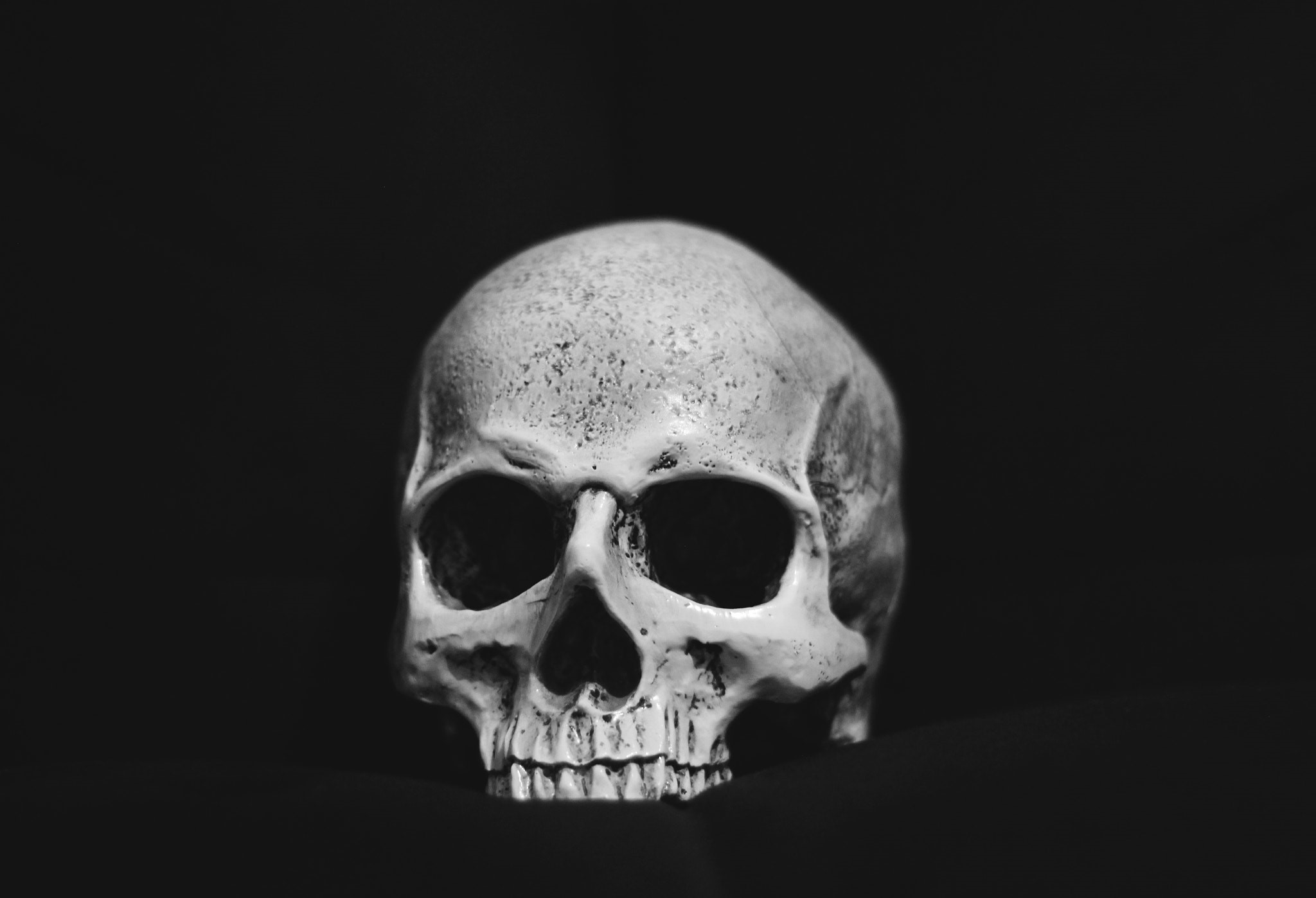 Monochrome skull on a black background HD Wallpaper