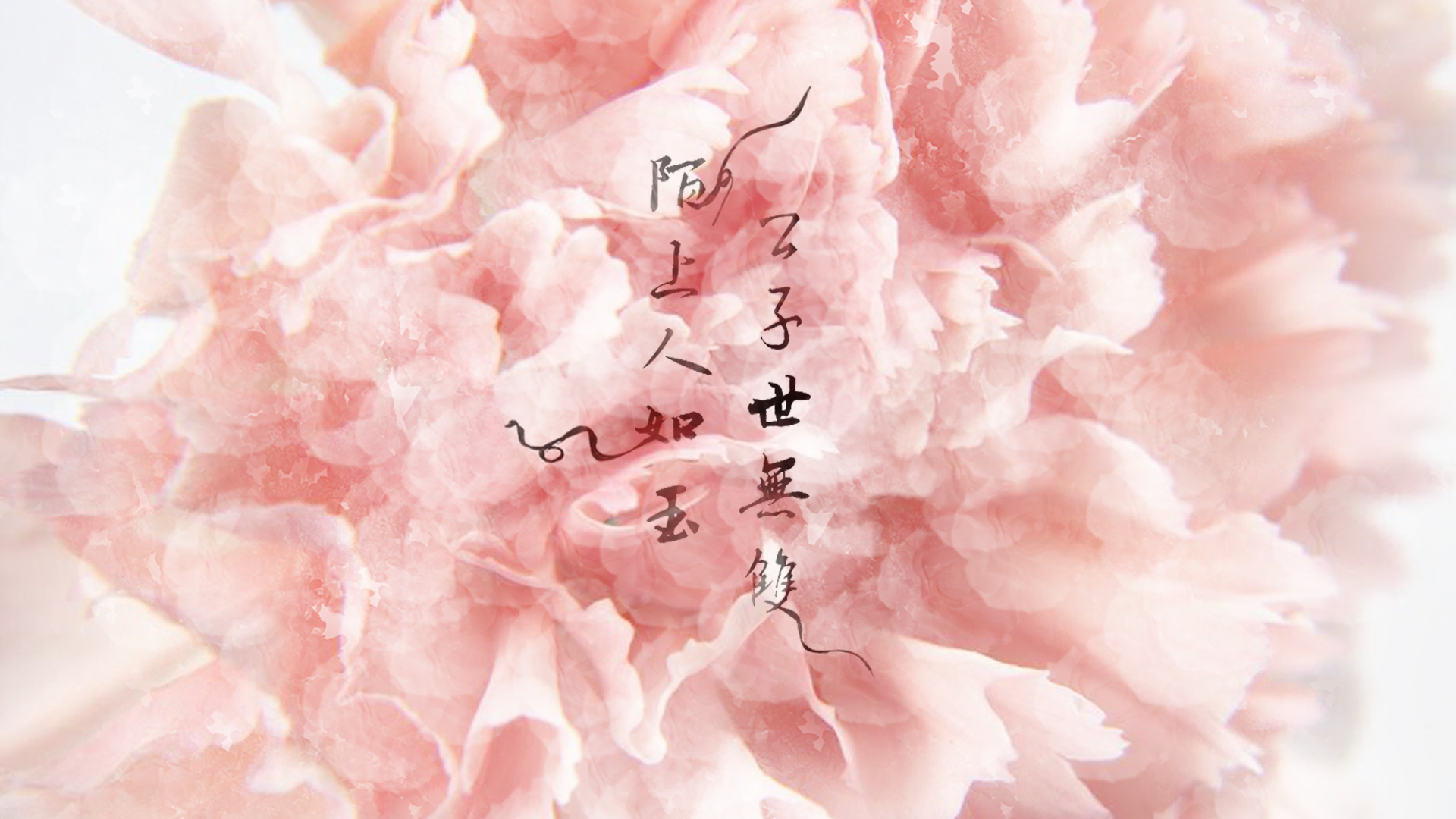 Chinese calligraphy on pink flower petals HD Wallpaper