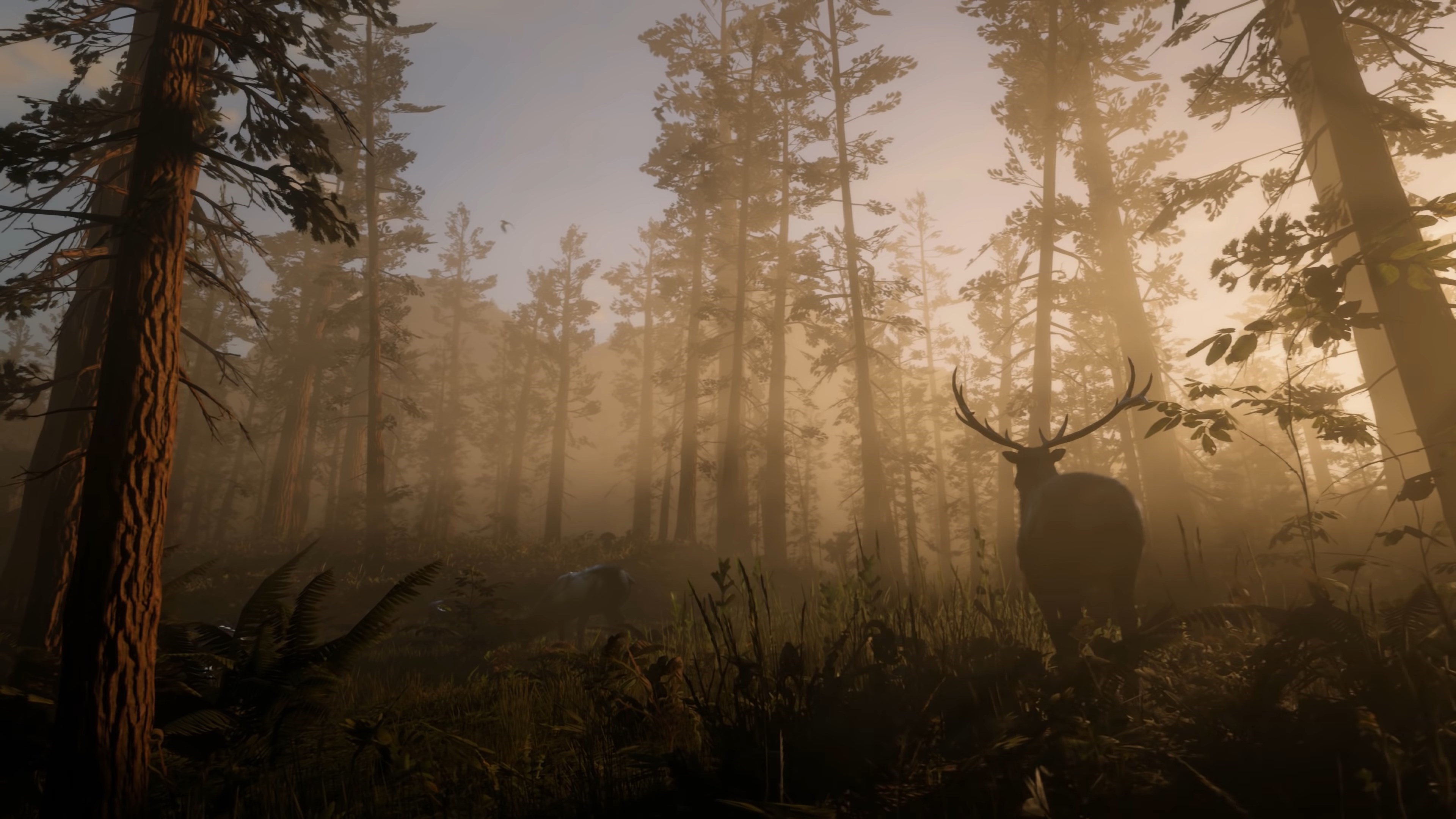Red Dead Redemption 2 Elk in Foggy Forest HD Wallpaper