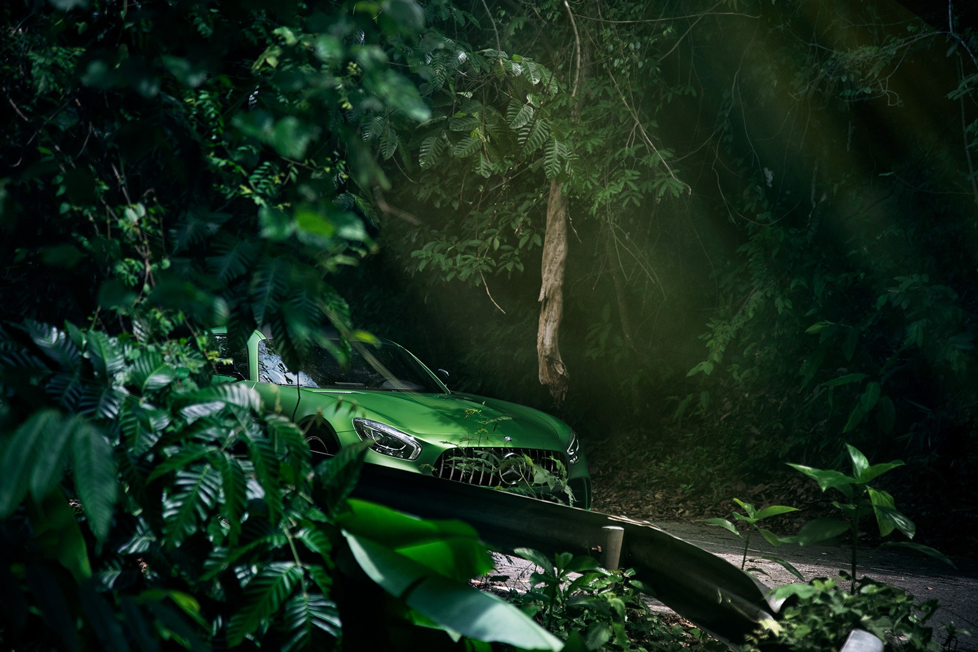 Green Mercedes-AMG GT parked on a forest road HD Wallpaper