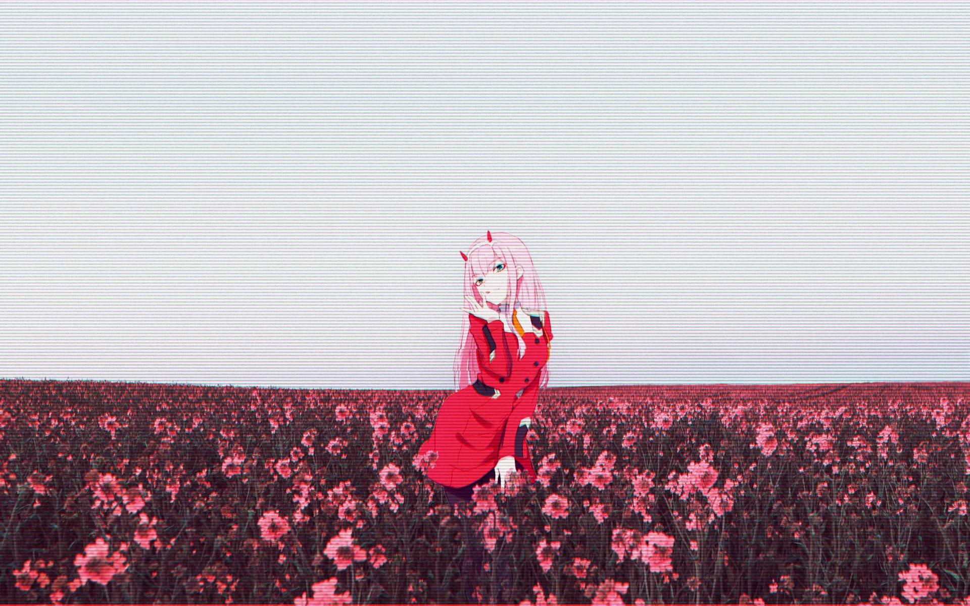 Zero Two from Darling in the FranXX in a flower field HD Wallpaper