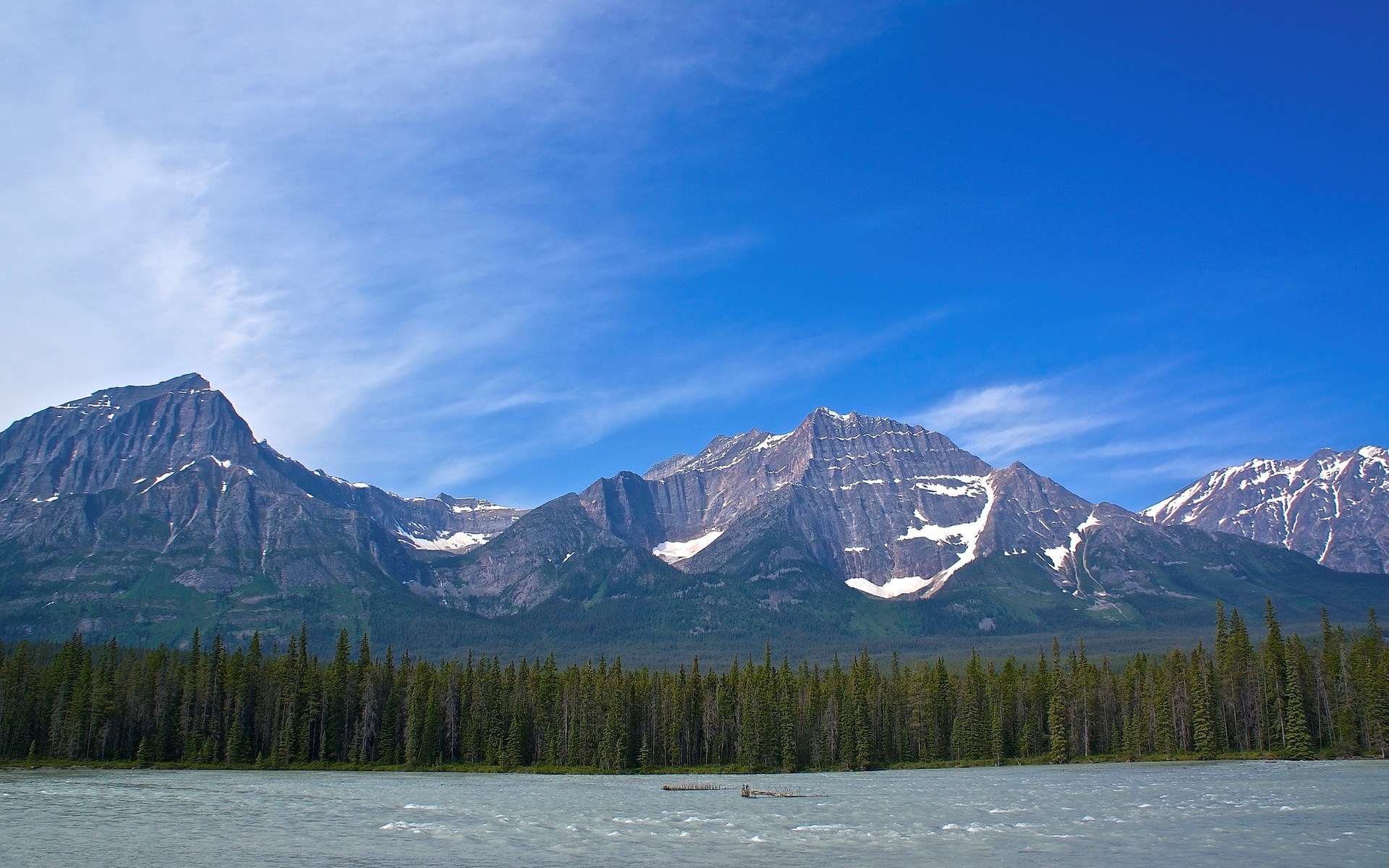 Mountains and river with pine forest under blue sky HD Wallpaper