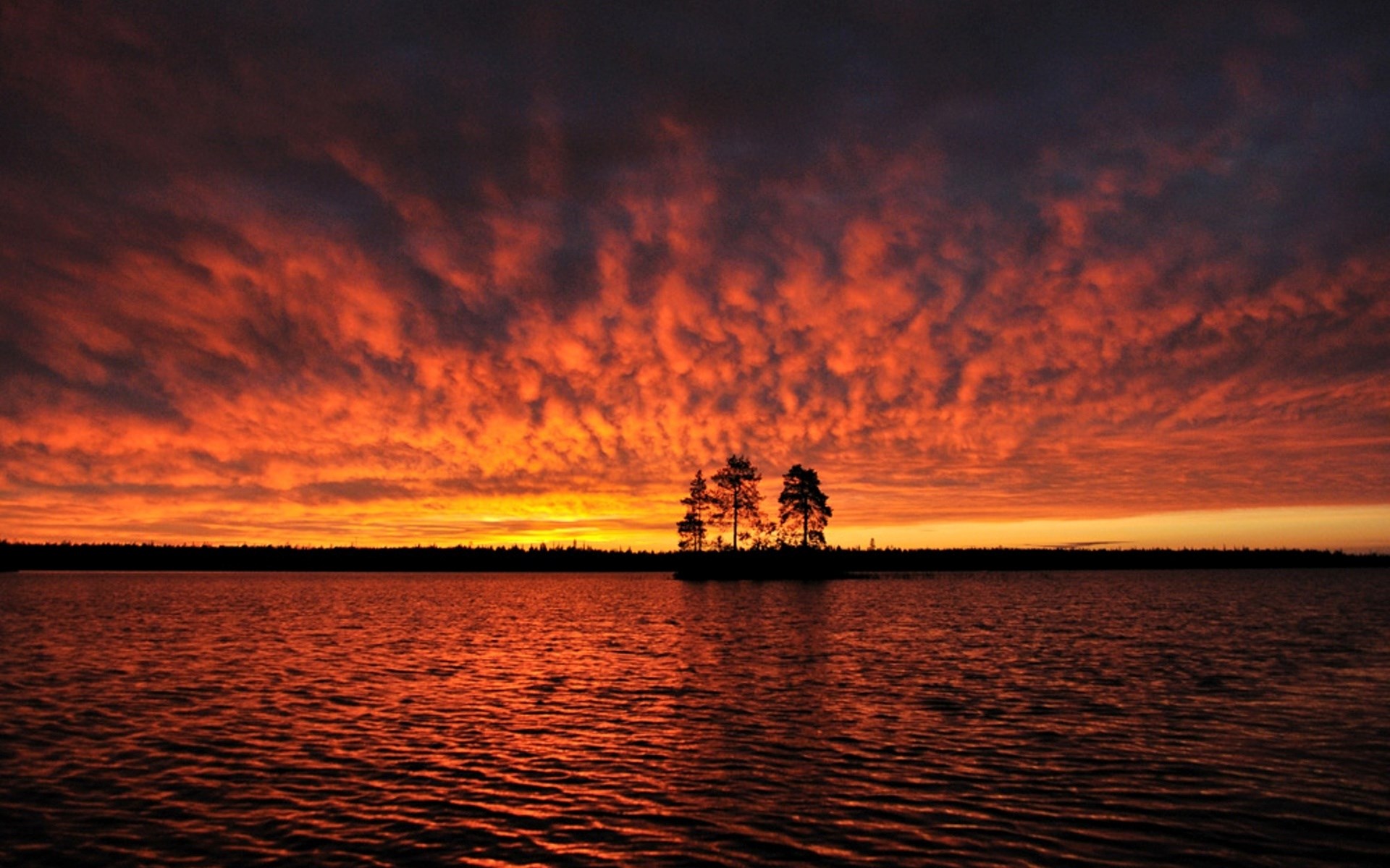 Sunset over a lake with trees on an island HD Wallpaper