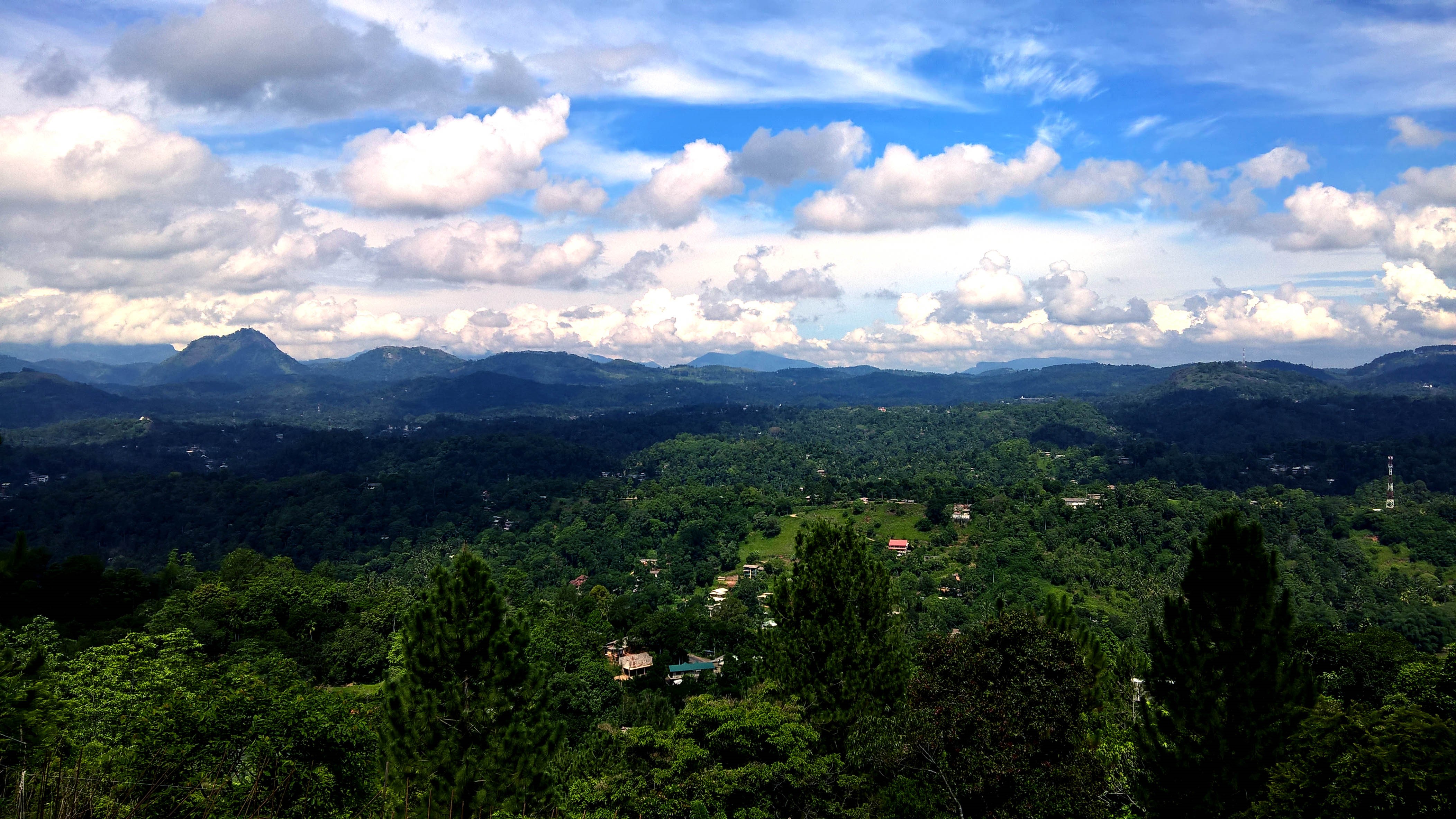 4K hill landscape with trees and sky HD Wallpaper