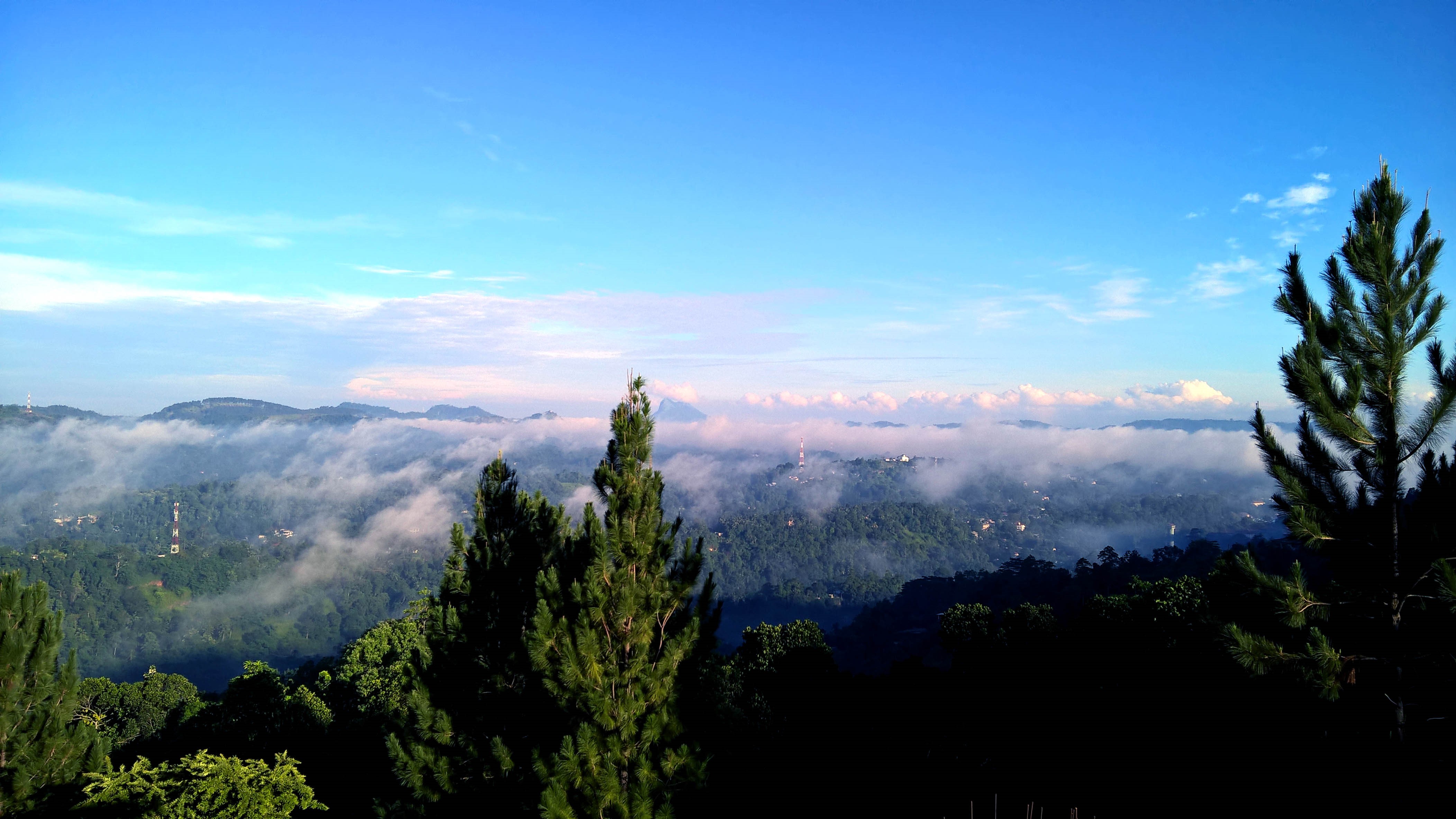 4K landscape of misty mountains and trees HD Wallpaper