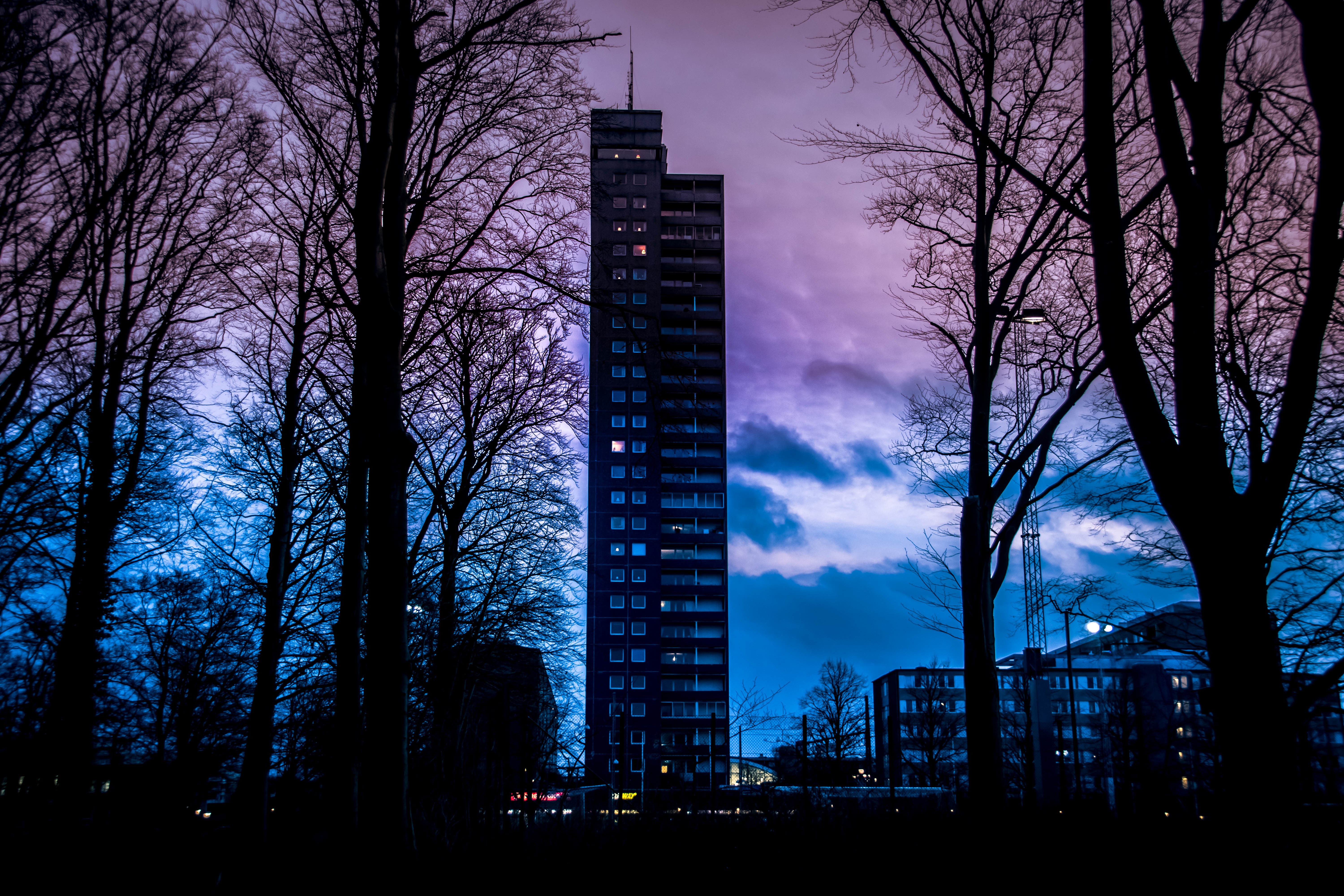 Tall building at dusk with trees in foreground HD Wallpaper