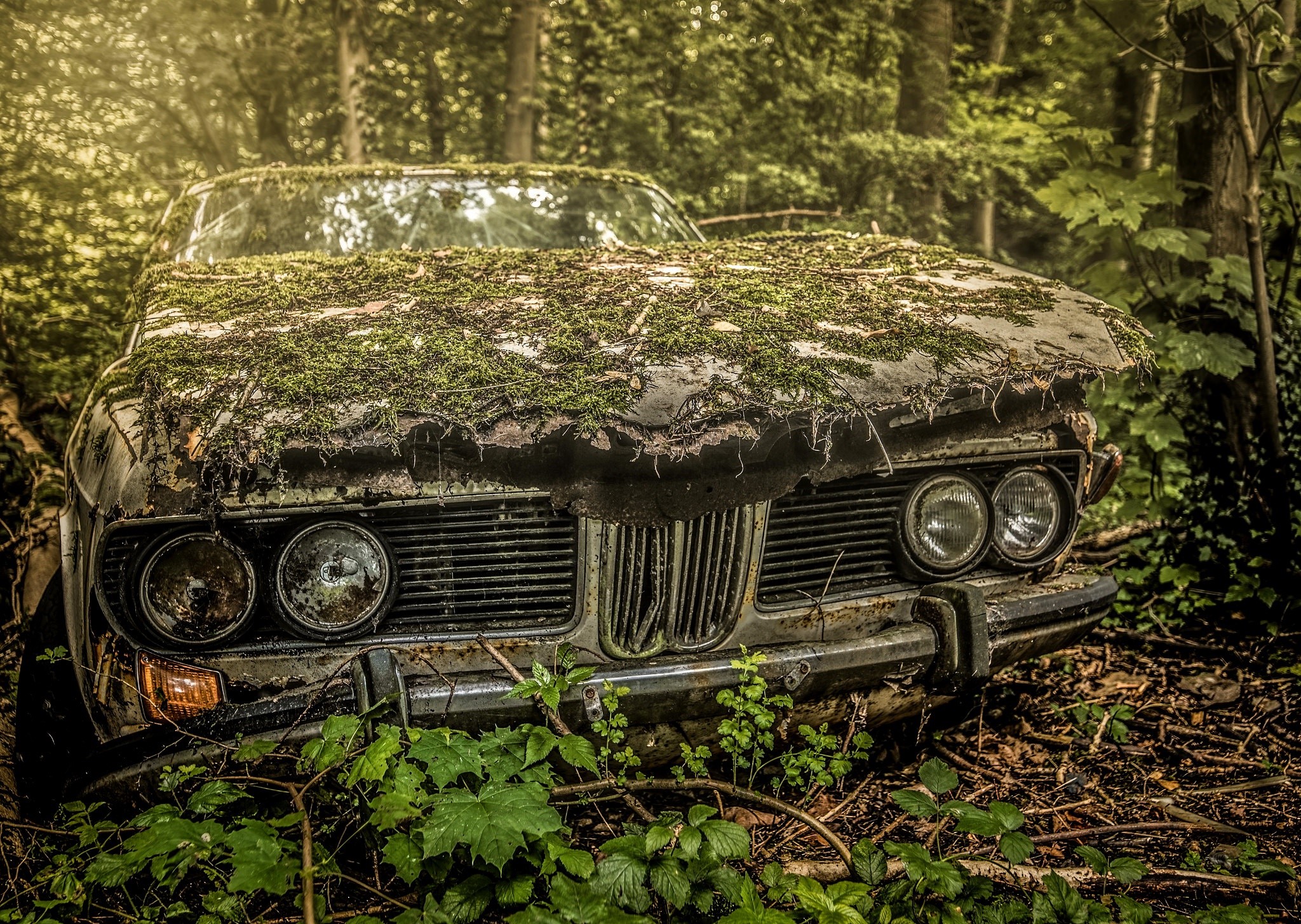 Abandoned BMW E9 covered in moss in a forest HD Wallpaper