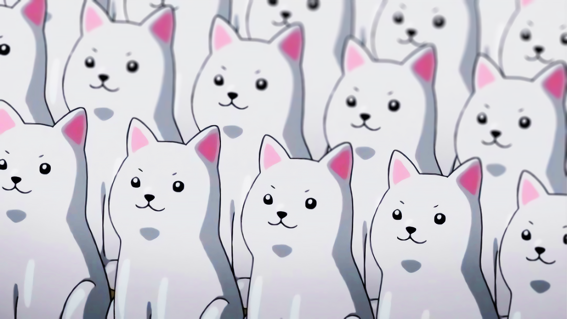 Group of white anime dogs HD Wallpaper