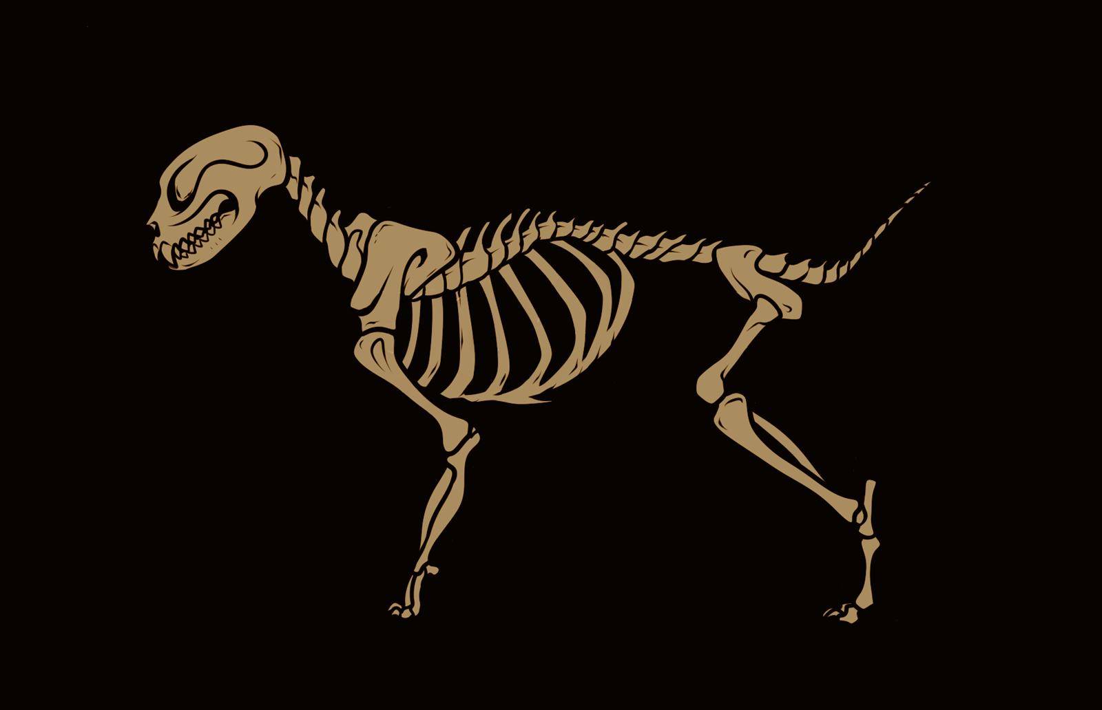 Dog skeleton on a black background HD Wallpaper