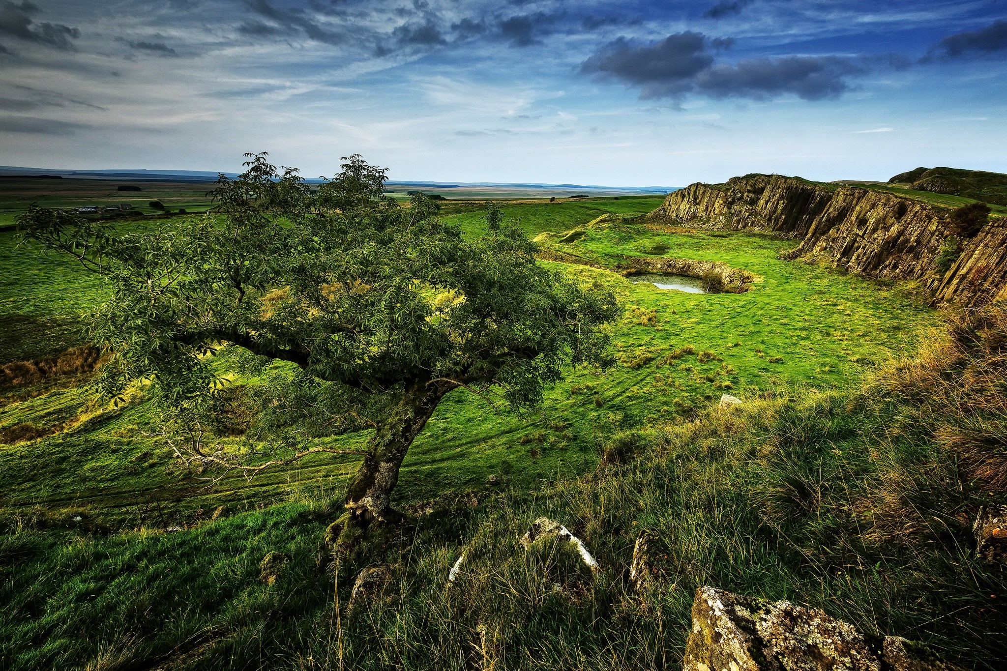 Green landscape with a lone tree and rocky hills HD Wallpaper