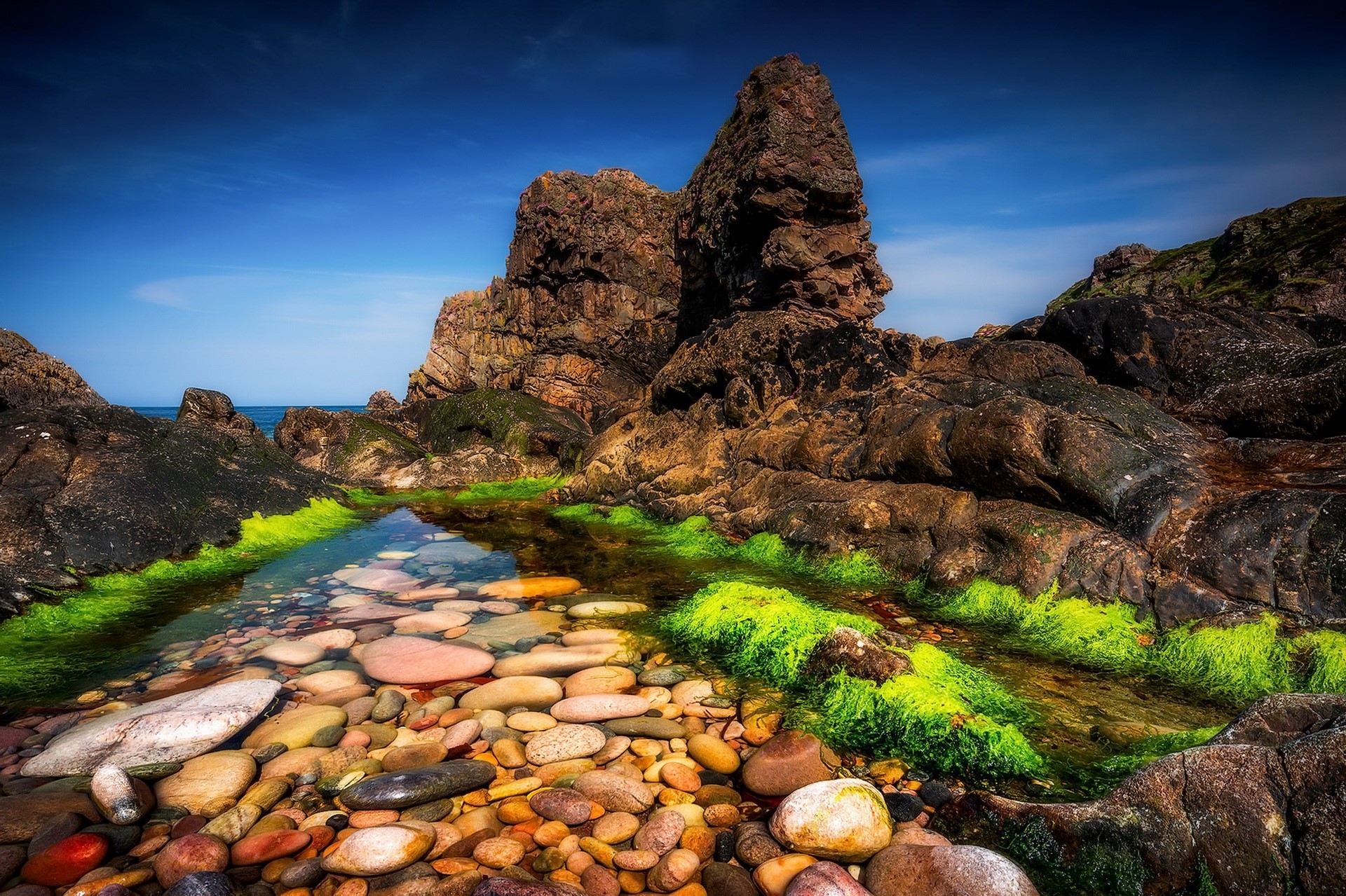 Rocky coastline with tide pool and green algae HD Wallpaper