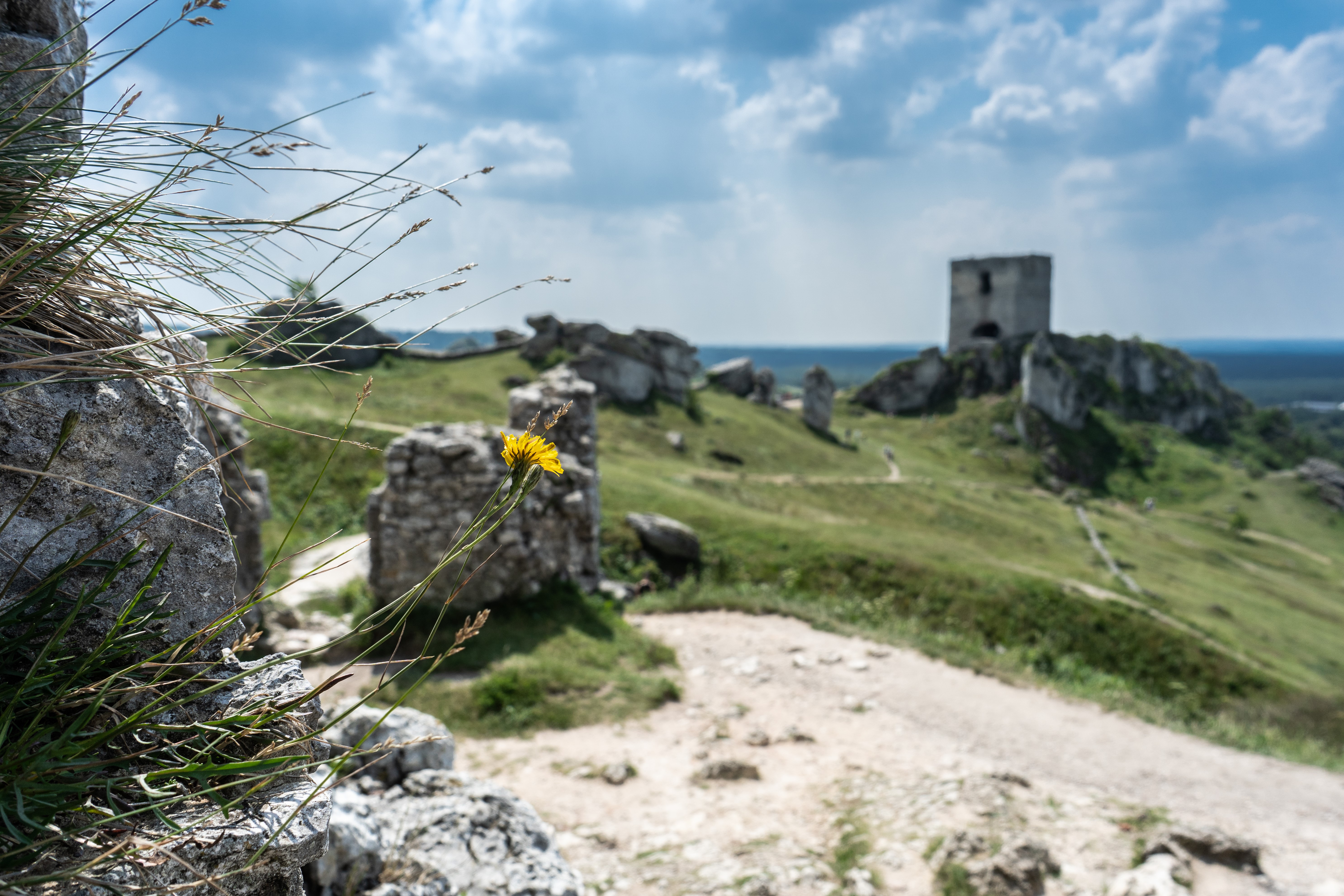 Ruins of a castle in Poland HD Wallpaper