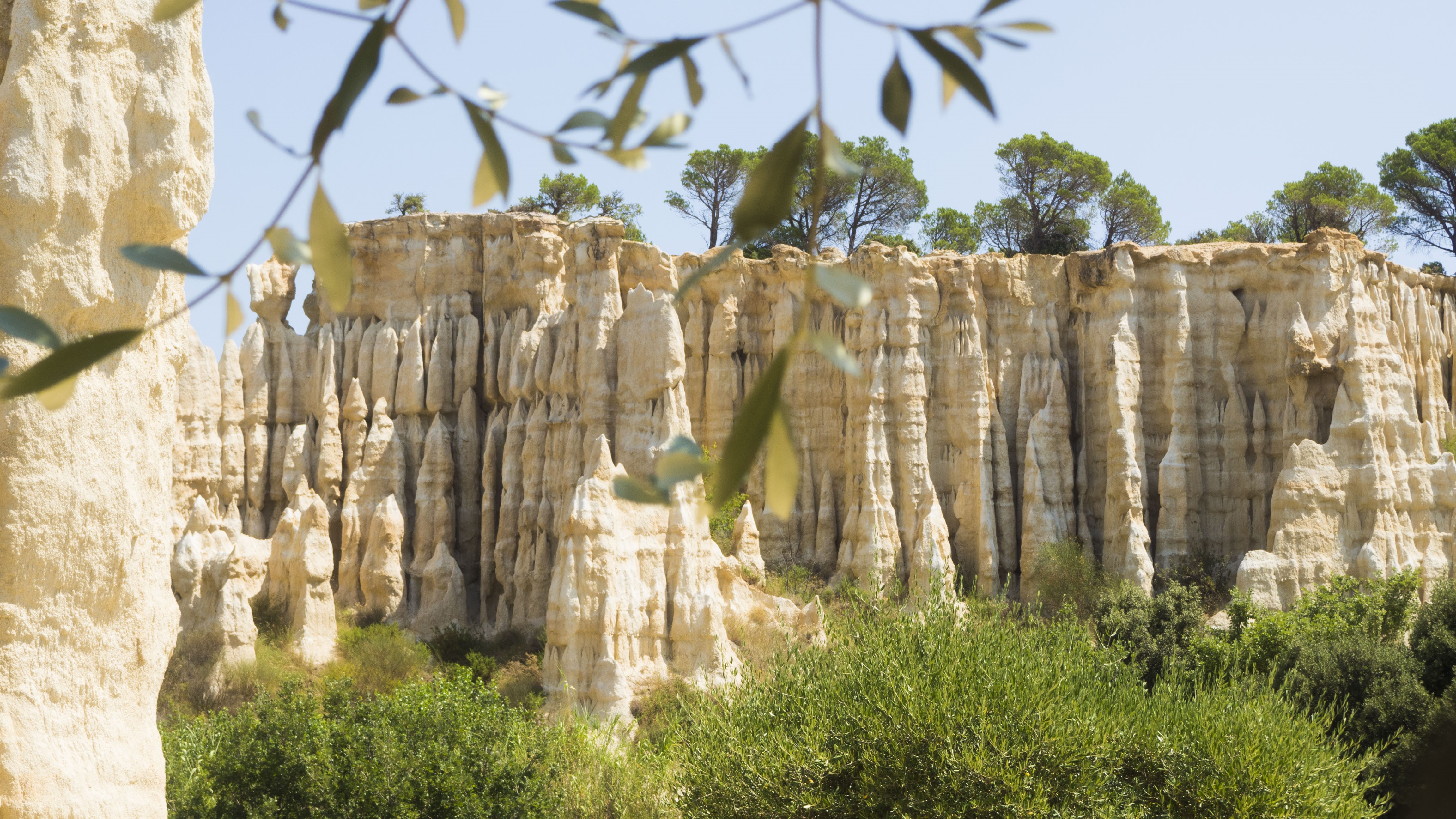 4K rock formations with trees and plants HD Wallpaper