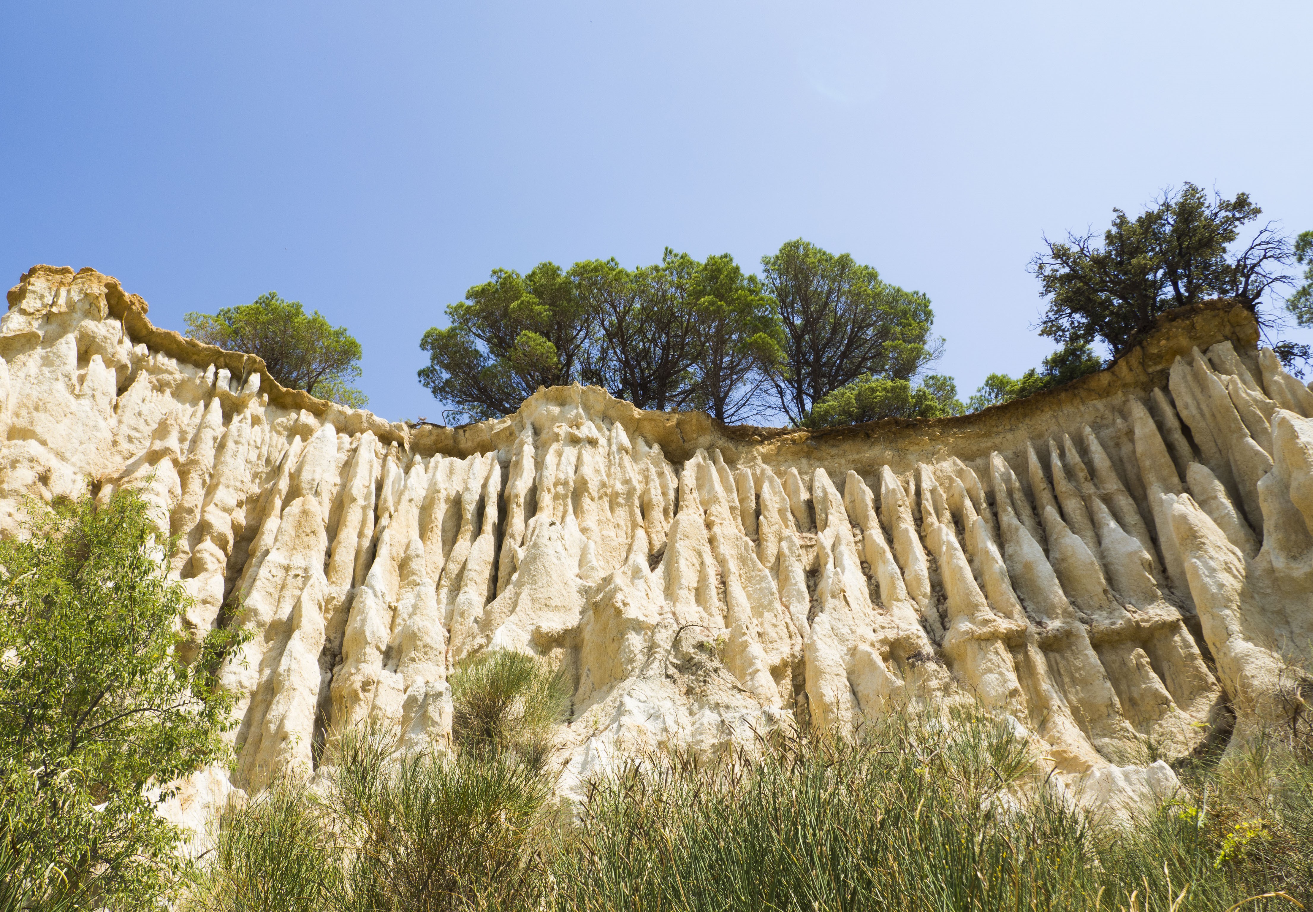 Eroded rock cliff with trees under a clear blue sky HD Wallpaper
