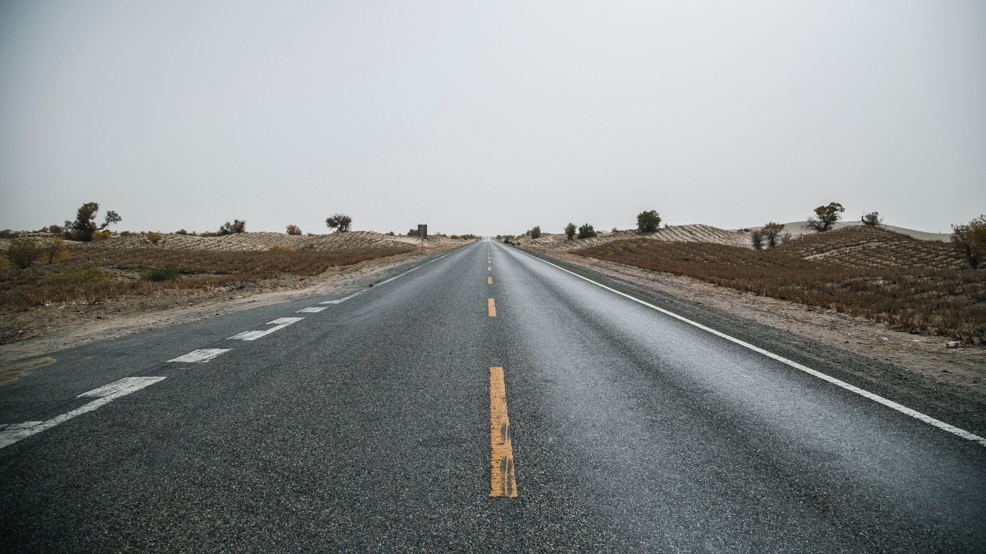 Empty asphalt road stretching to the horizon in a desolate landscape HD Wallpaper