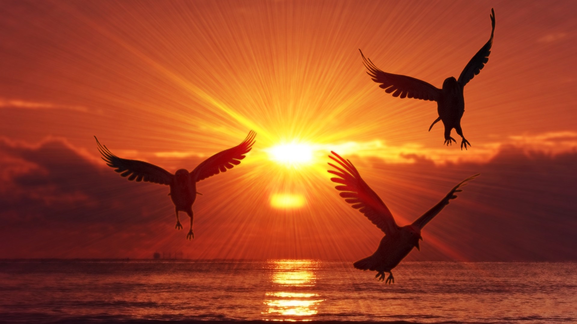 Three birds flying at sunset over the sea HD Wallpaper