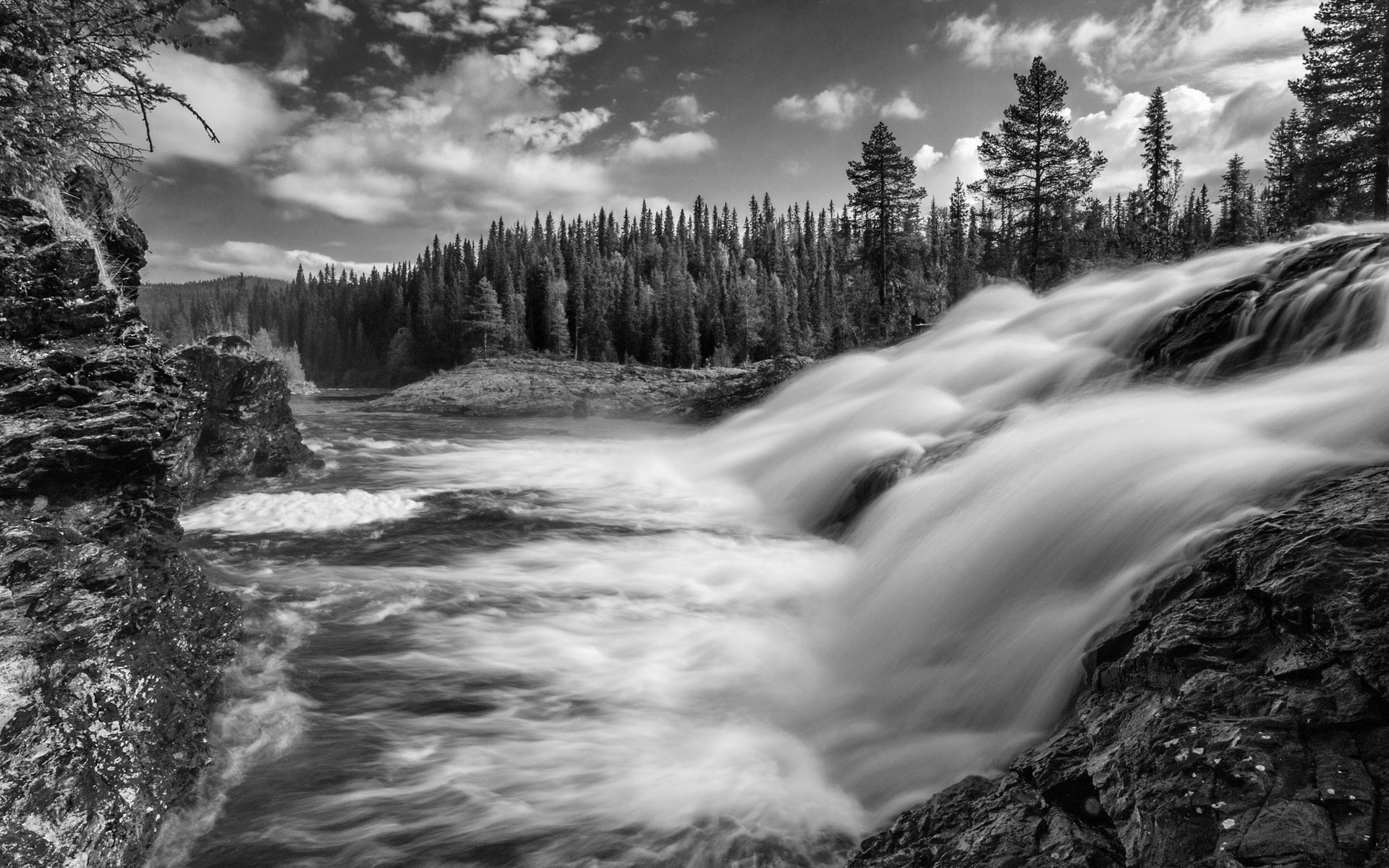 Black and white waterfall in a forest HD Wallpaper