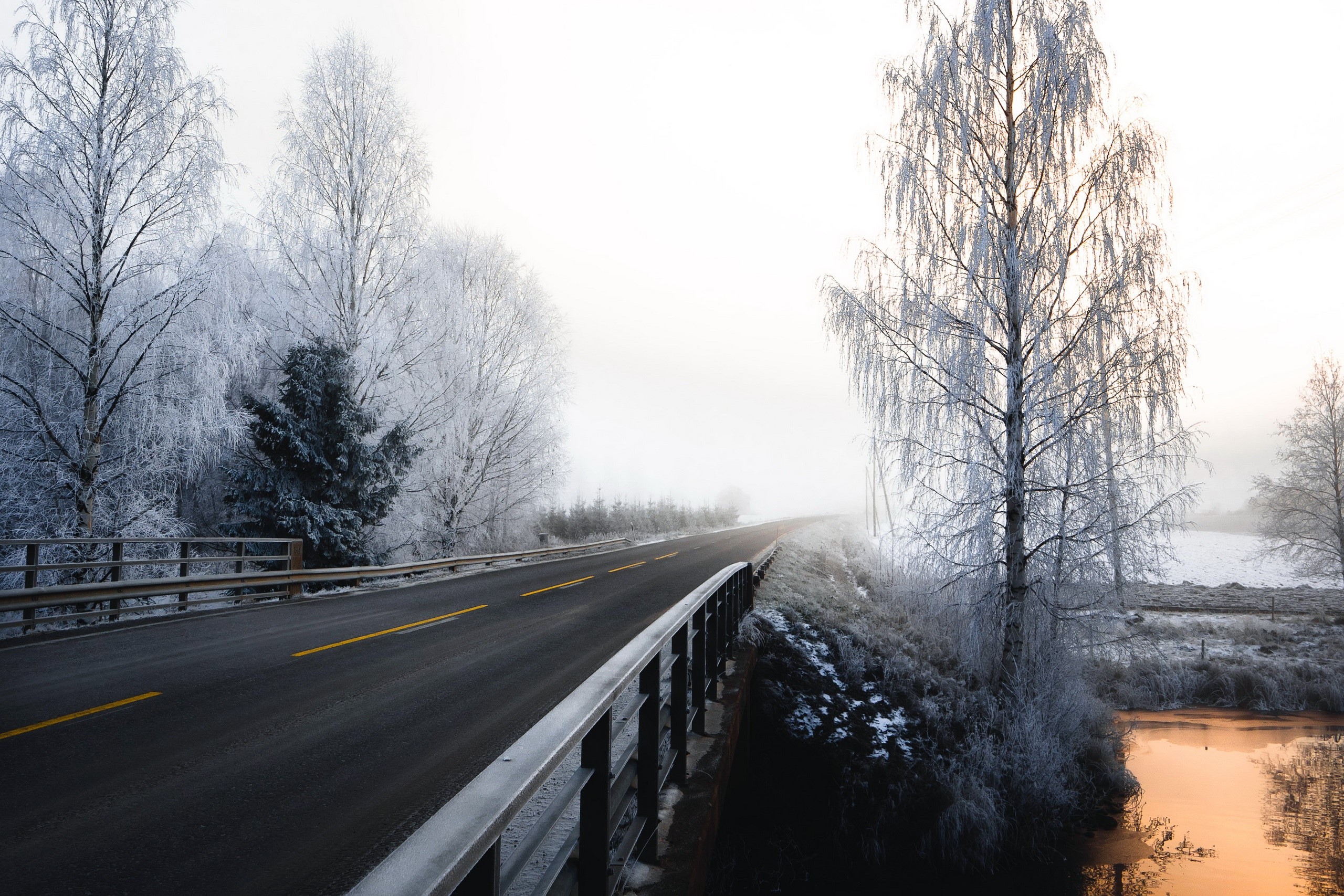 Winter road with frosted trees and a river HD Wallpaper