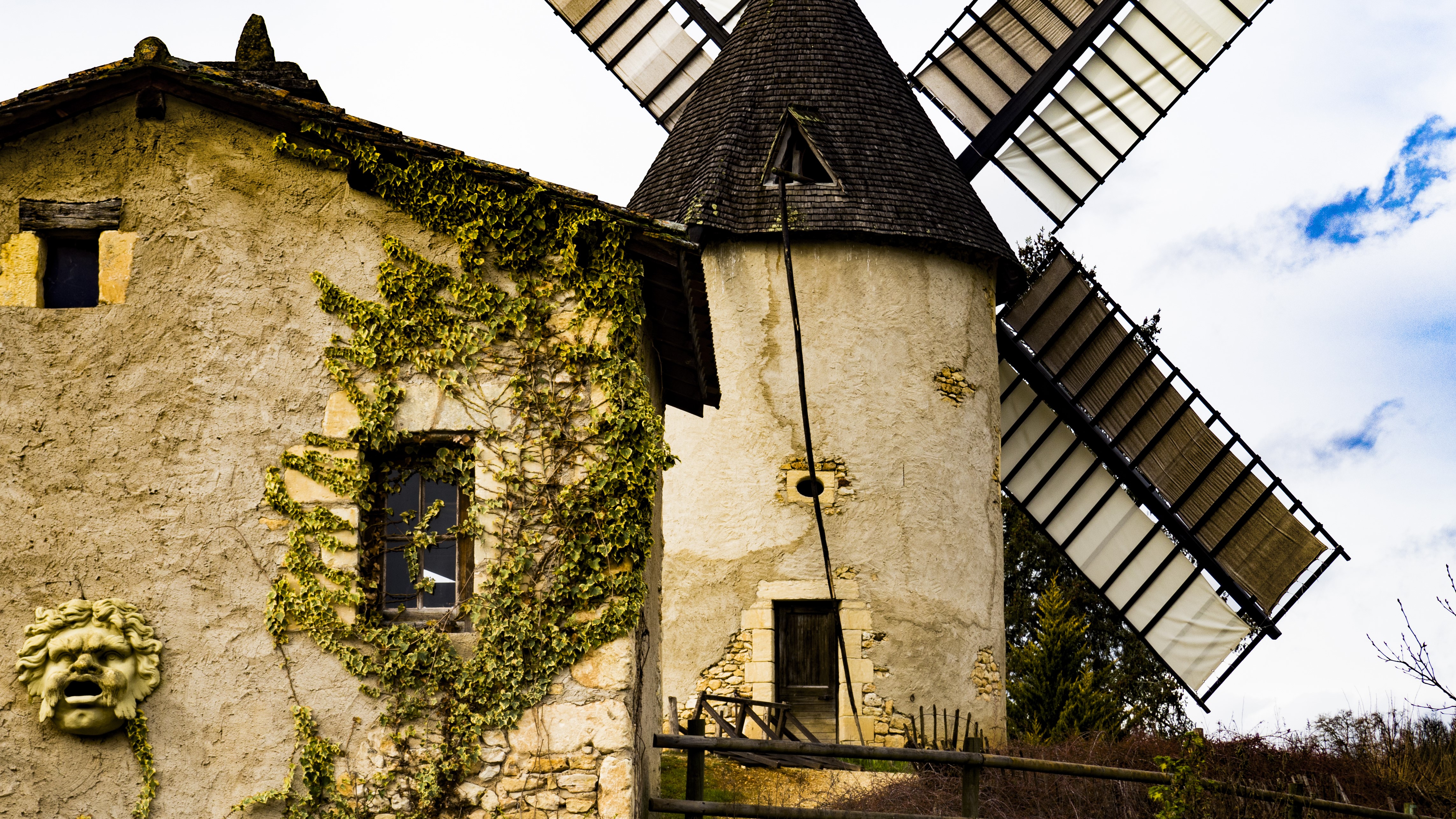 Beige windmill with vines and a stone face HD Wallpaper