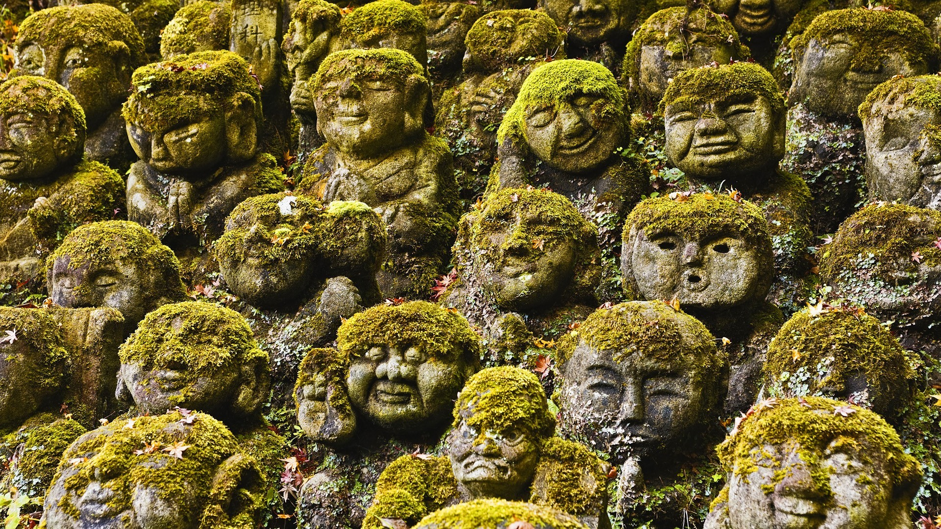 Stone Jizo statues covered in moss at a Japanese temple HD Wallpaper