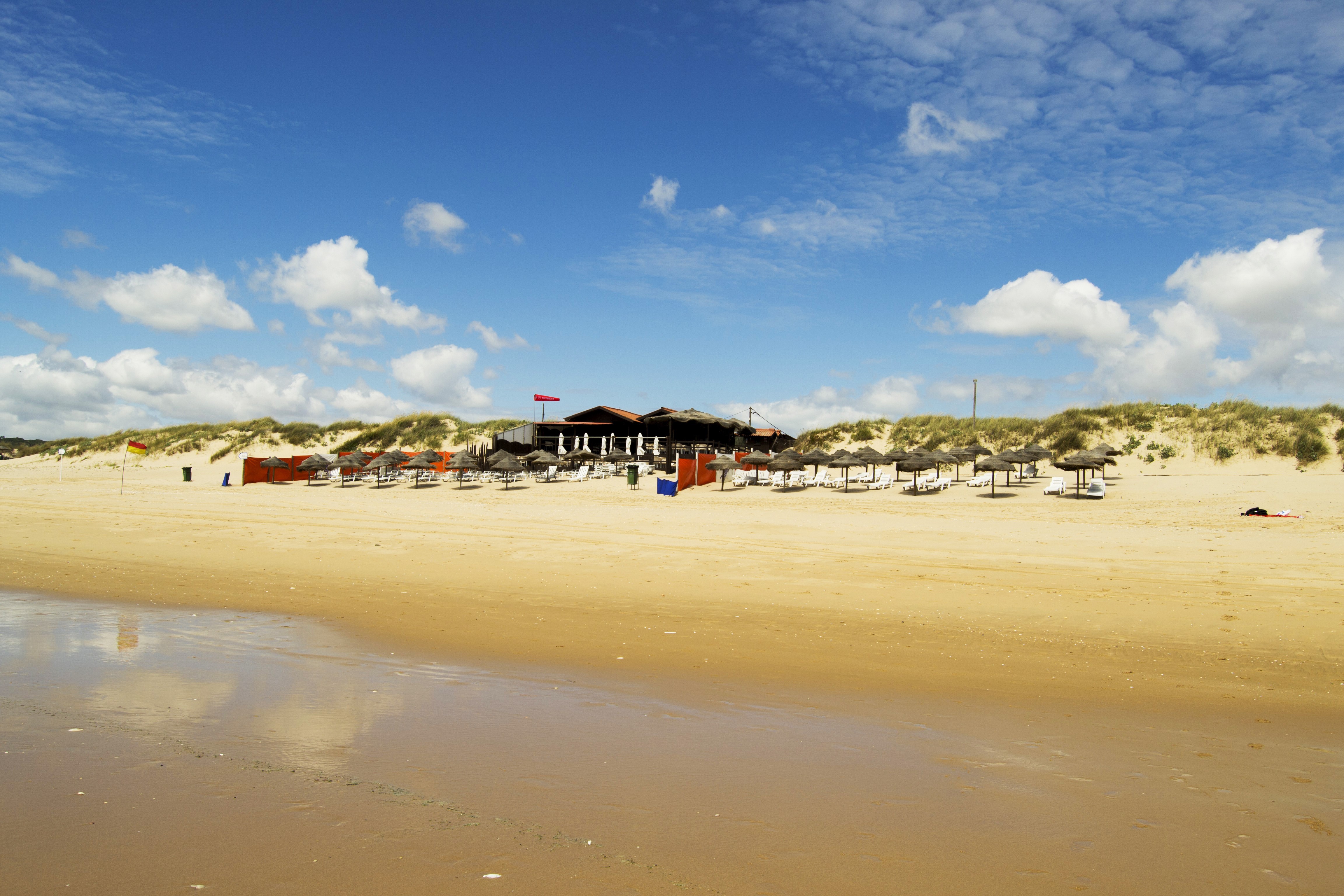 Beach with umbrellas and building in Portugal HD Wallpaper