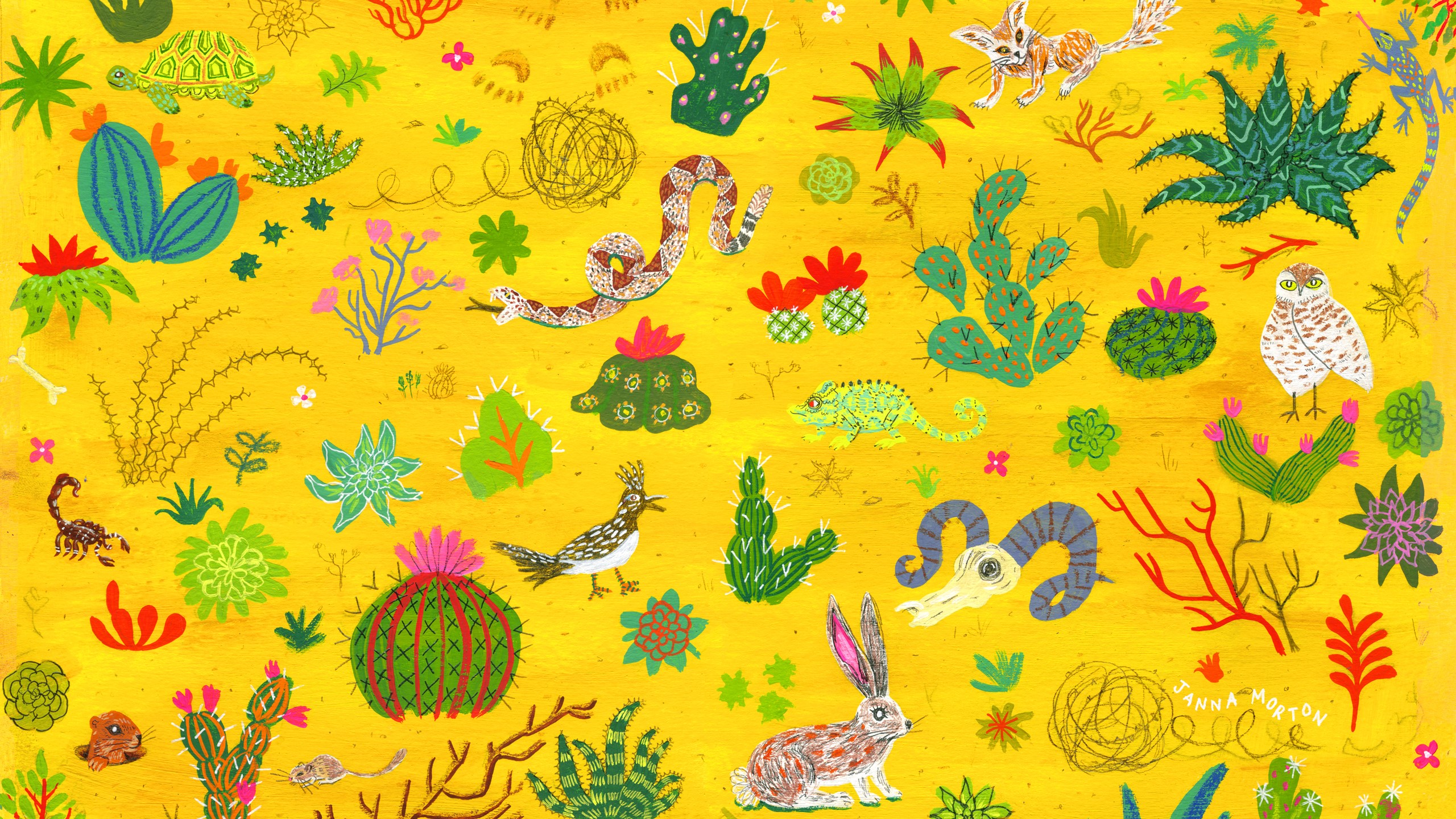 Desert animals and plants illustration by Janna Morton HD Wallpaper