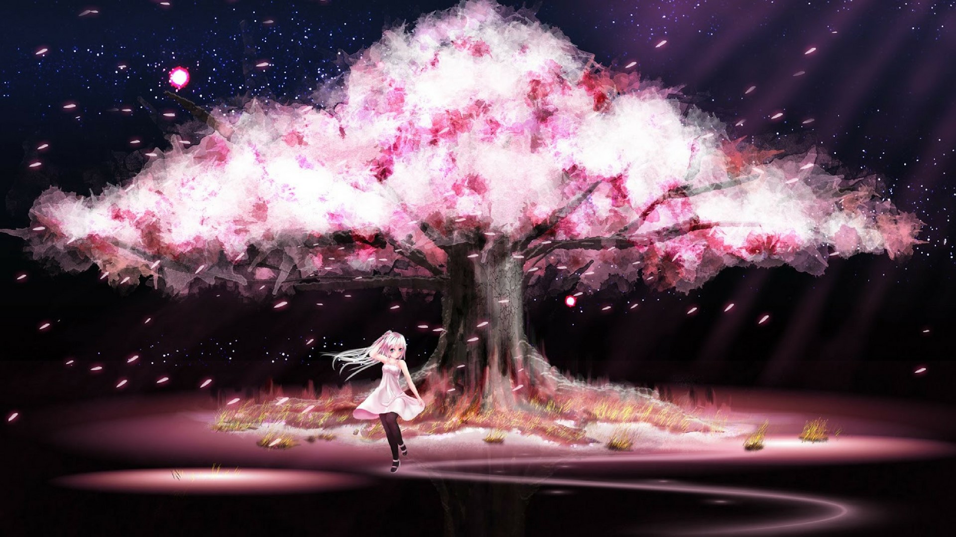Anime girl under a cherry blossom tree at night HD Wallpaper