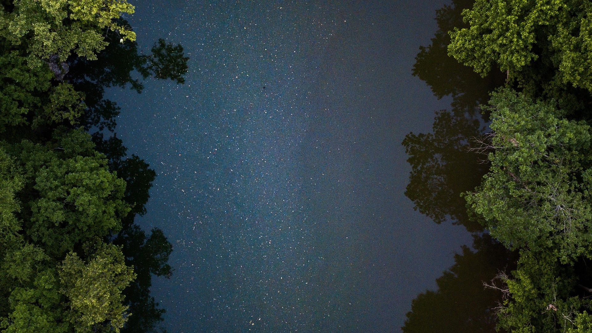 Aerial view of trees reflecting in water under a starry sky HD Wallpaper