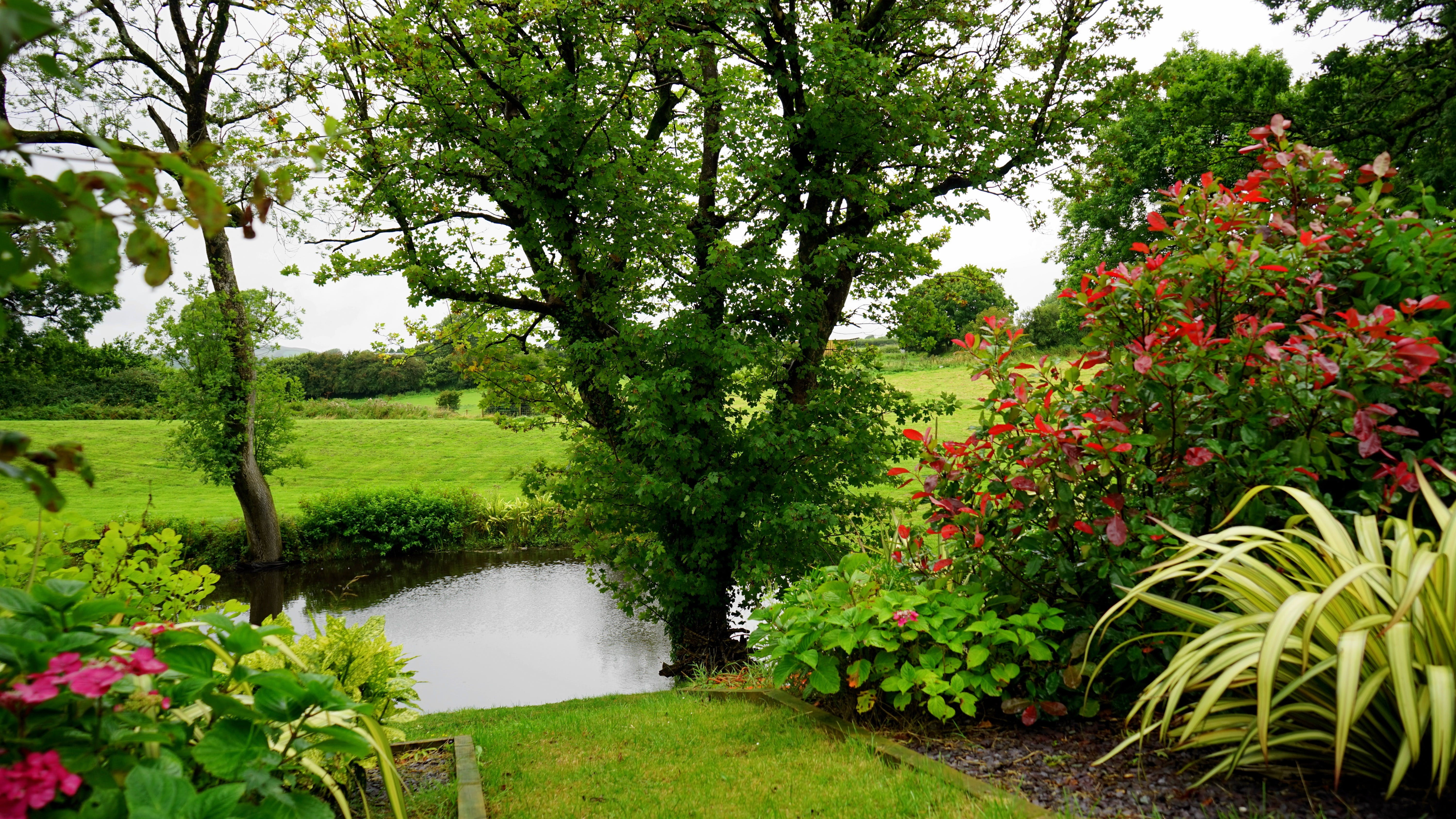 4K Scenic Garden Landscape with Red Leaves HD Wallpaper