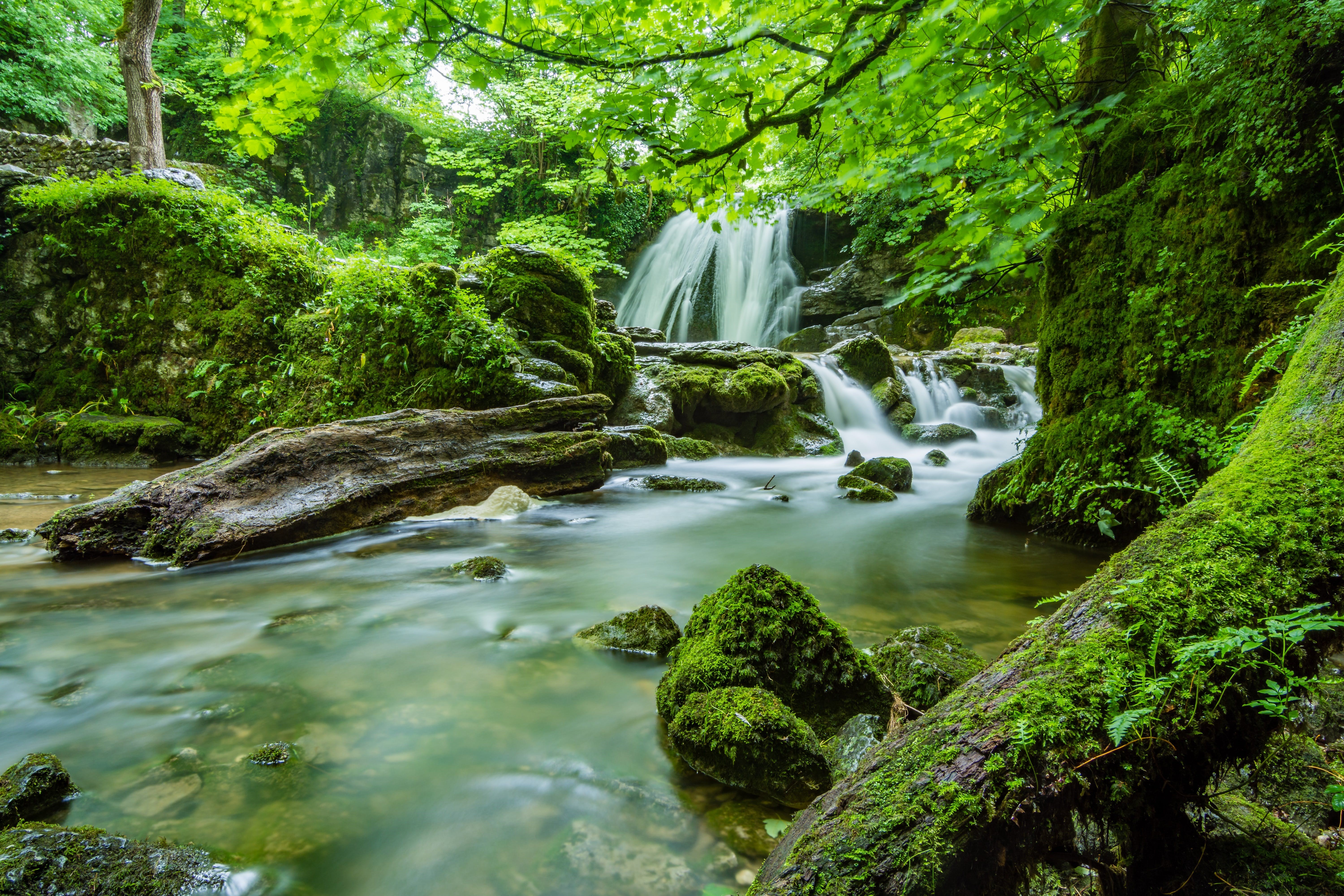 Waterfall in a mossy forest with rocks and a creek HD Wallpaper