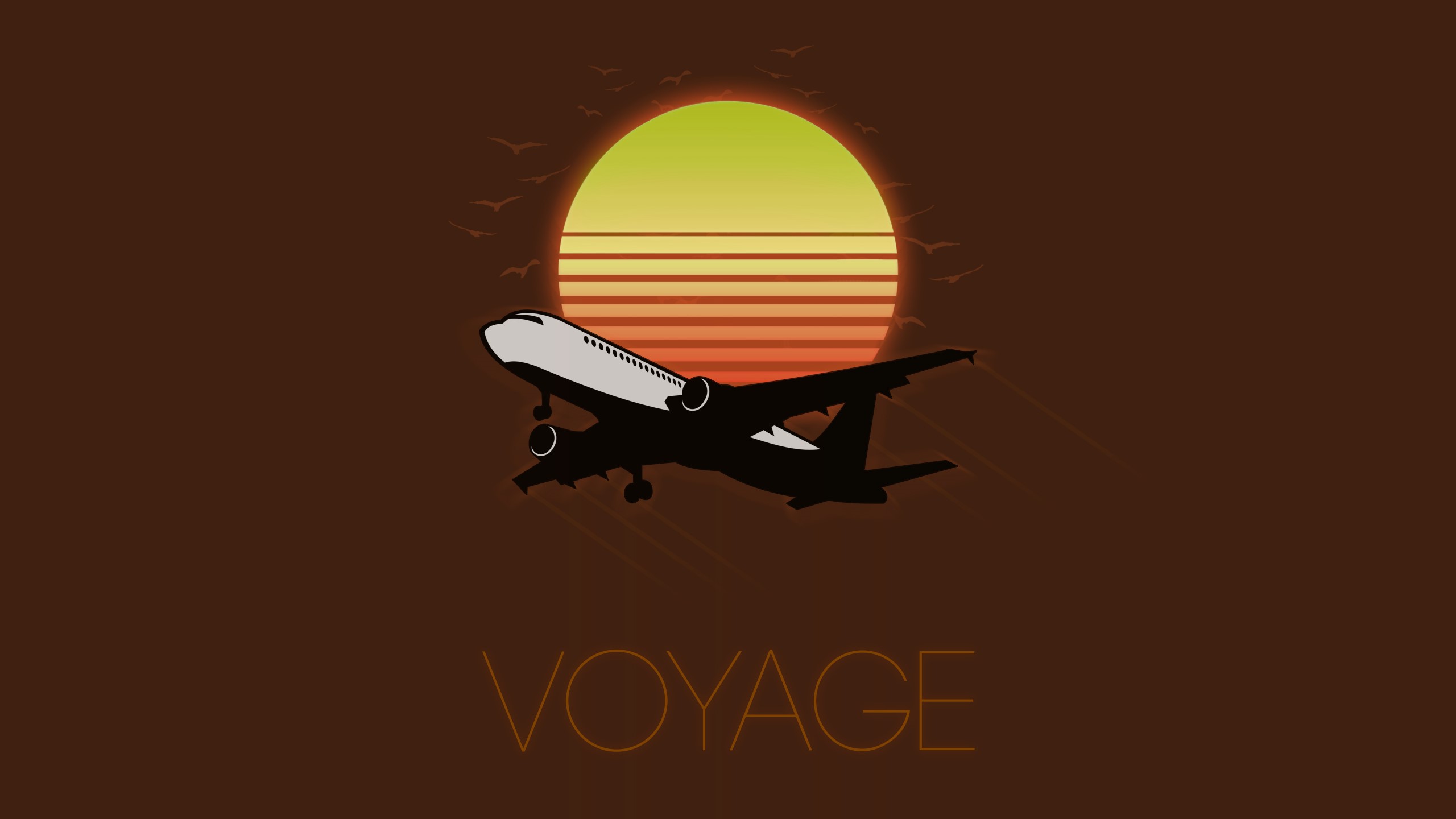 Airplane flying at sunset with birds and text VOYAGE HD Wallpaper