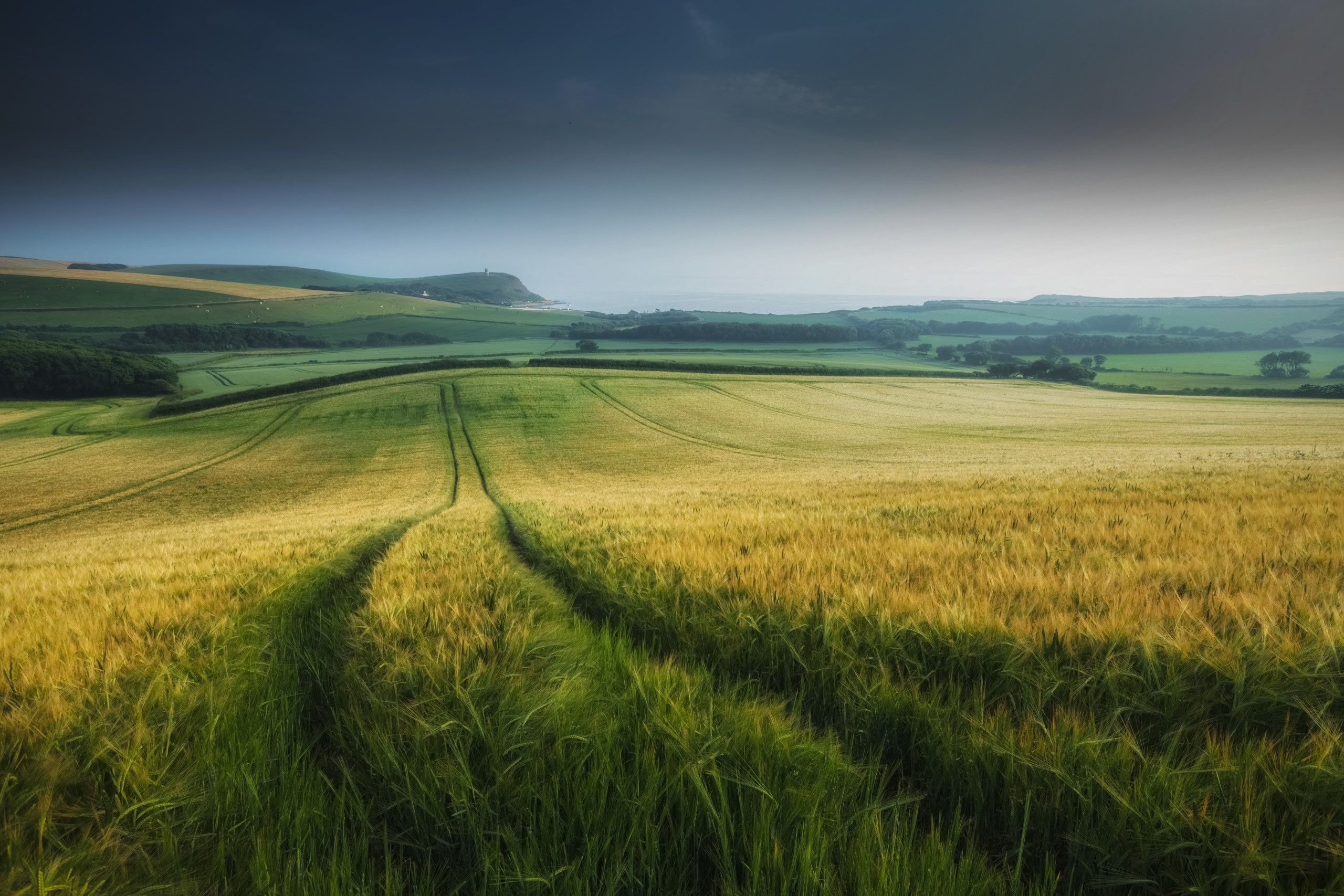 Rolling green hills and fields under a dark sky HD Wallpaper