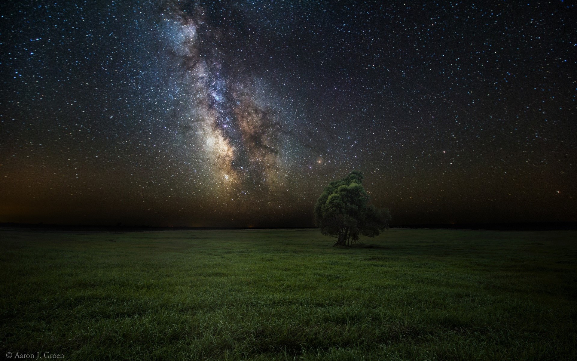 Milky Way over a lone tree in a field HD Wallpaper