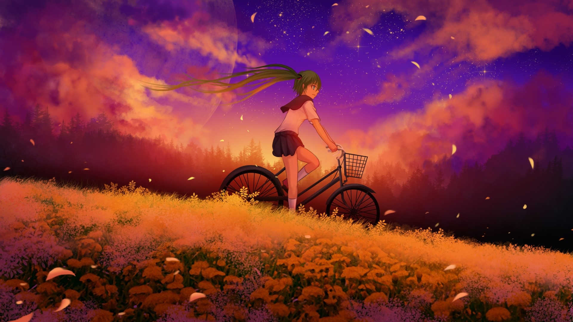 Hatsune Miku riding a bicycle through a field at sunset HD Wallpaper