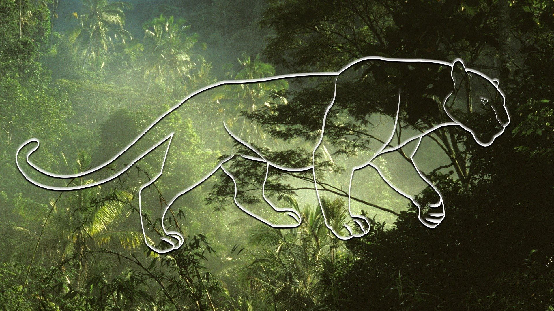 Panther silhouette in a misty jungle HD Wallpaper