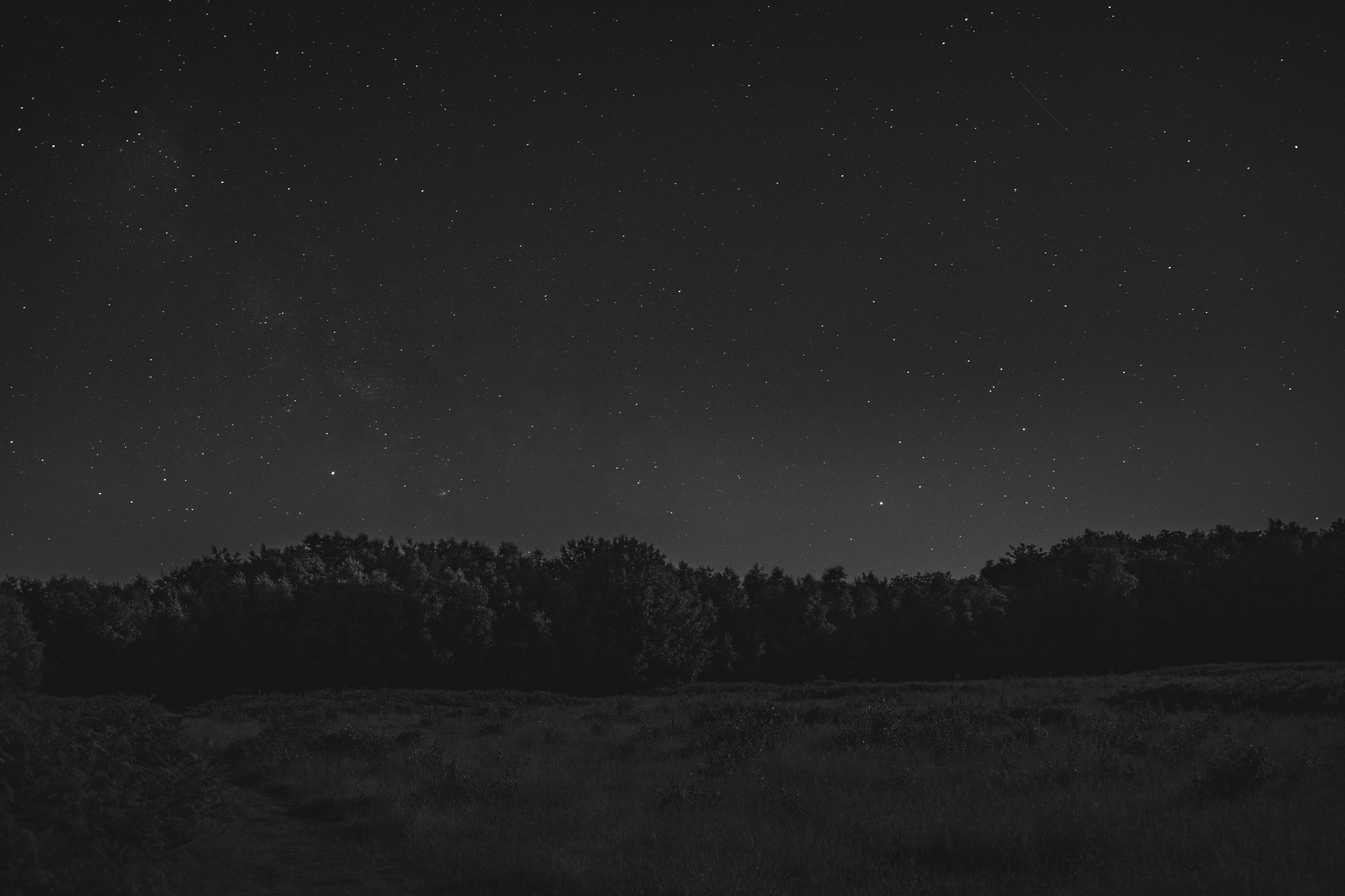 Monochrome starry night over a forest and field HD Wallpaper
