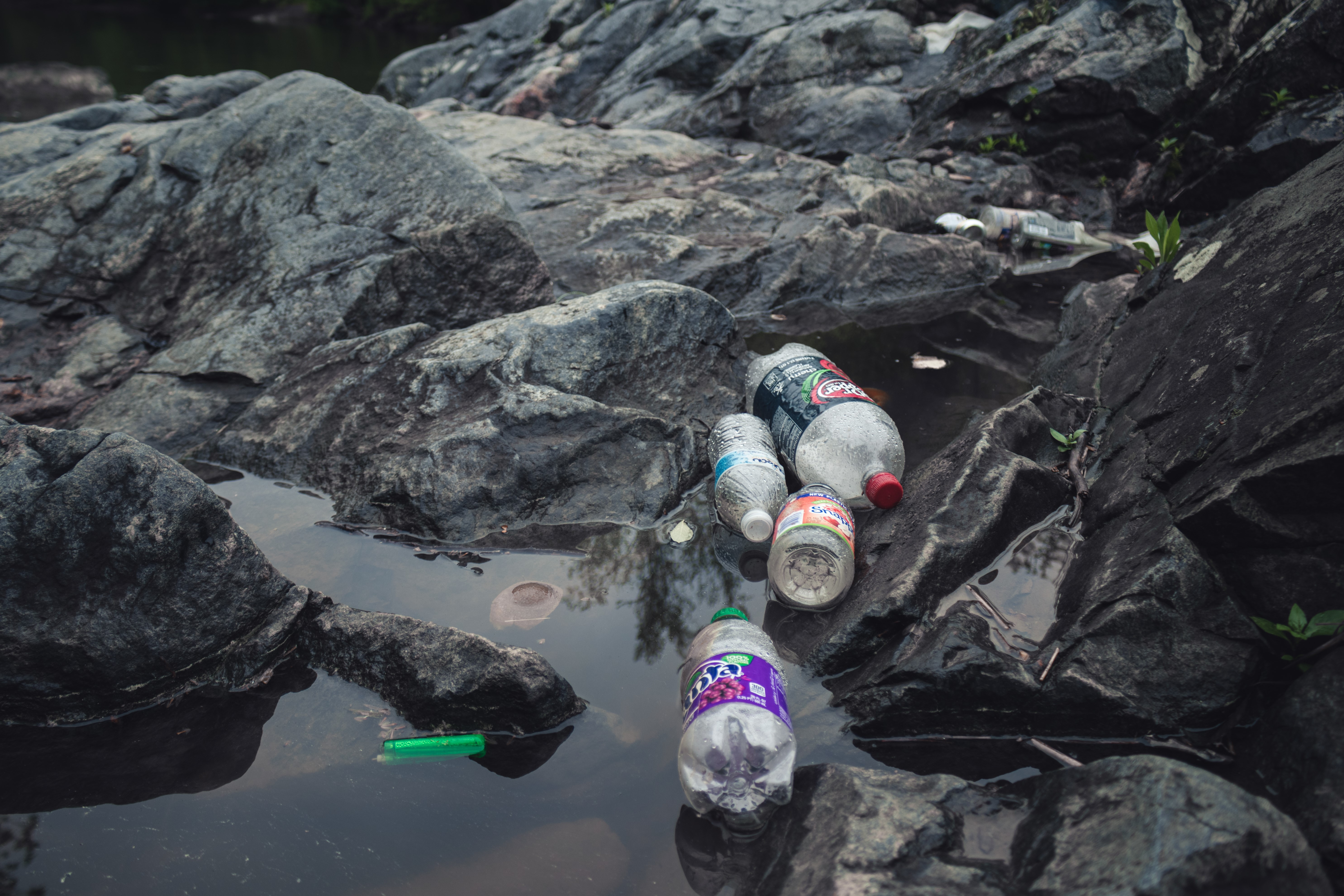 Plastic bottles and trash in nature HD Wallpaper